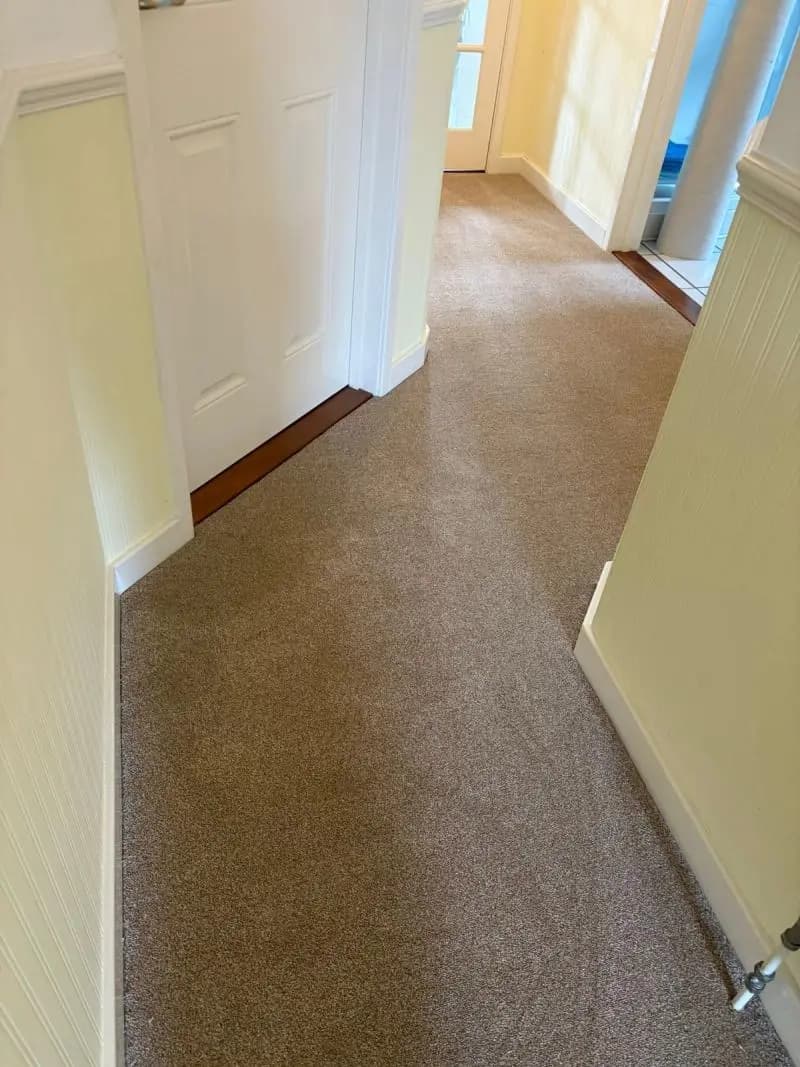 Bold Blue Heather Twist Carpet in Norwich Bedroom