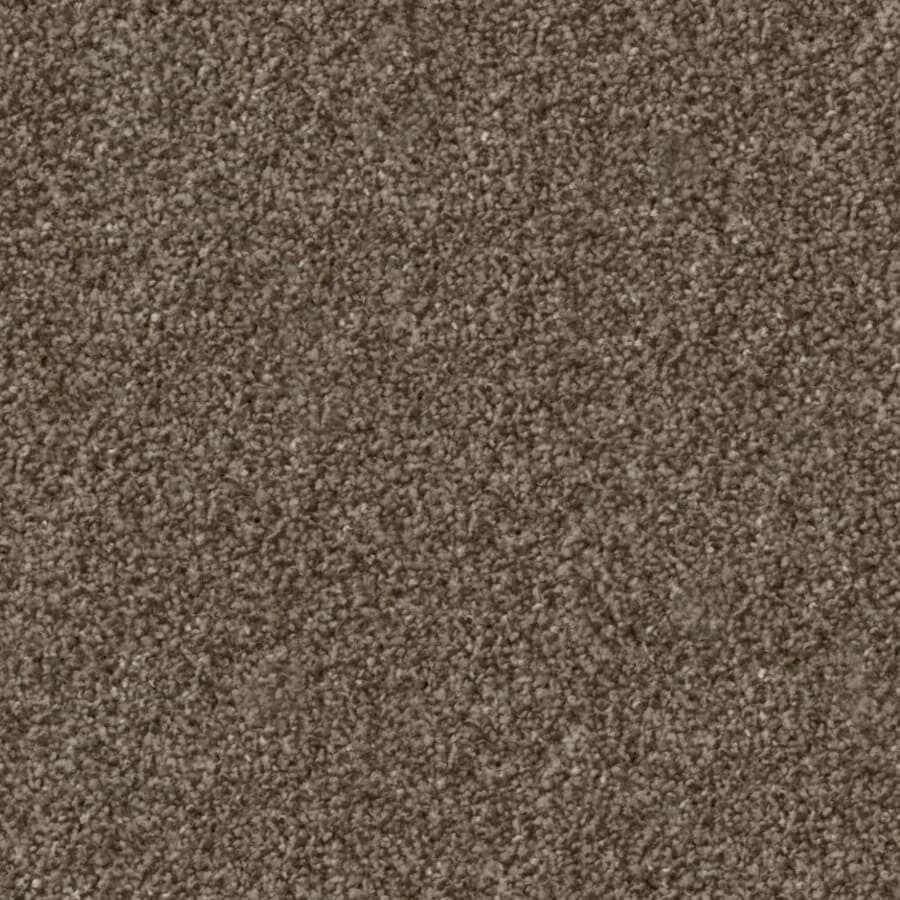 Cork Oak