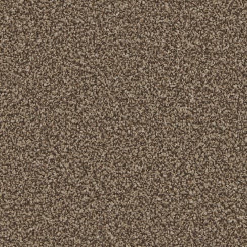 Mocha