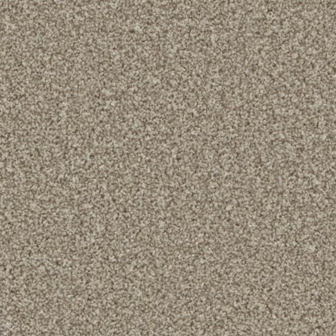 Pale Oak
