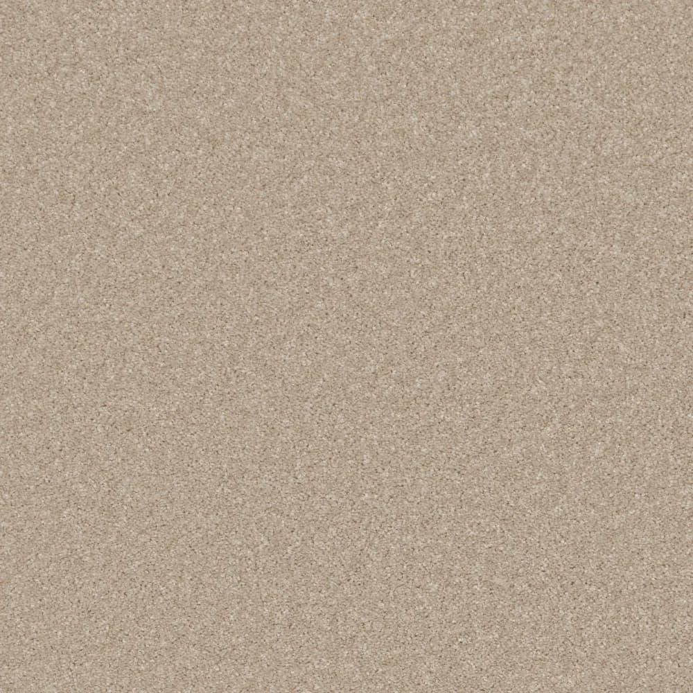 Provence Alpaca