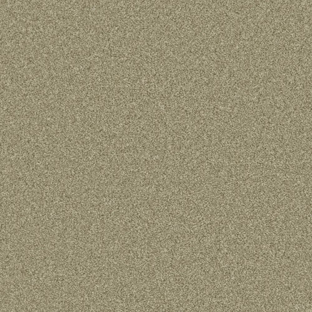 Provence Olive