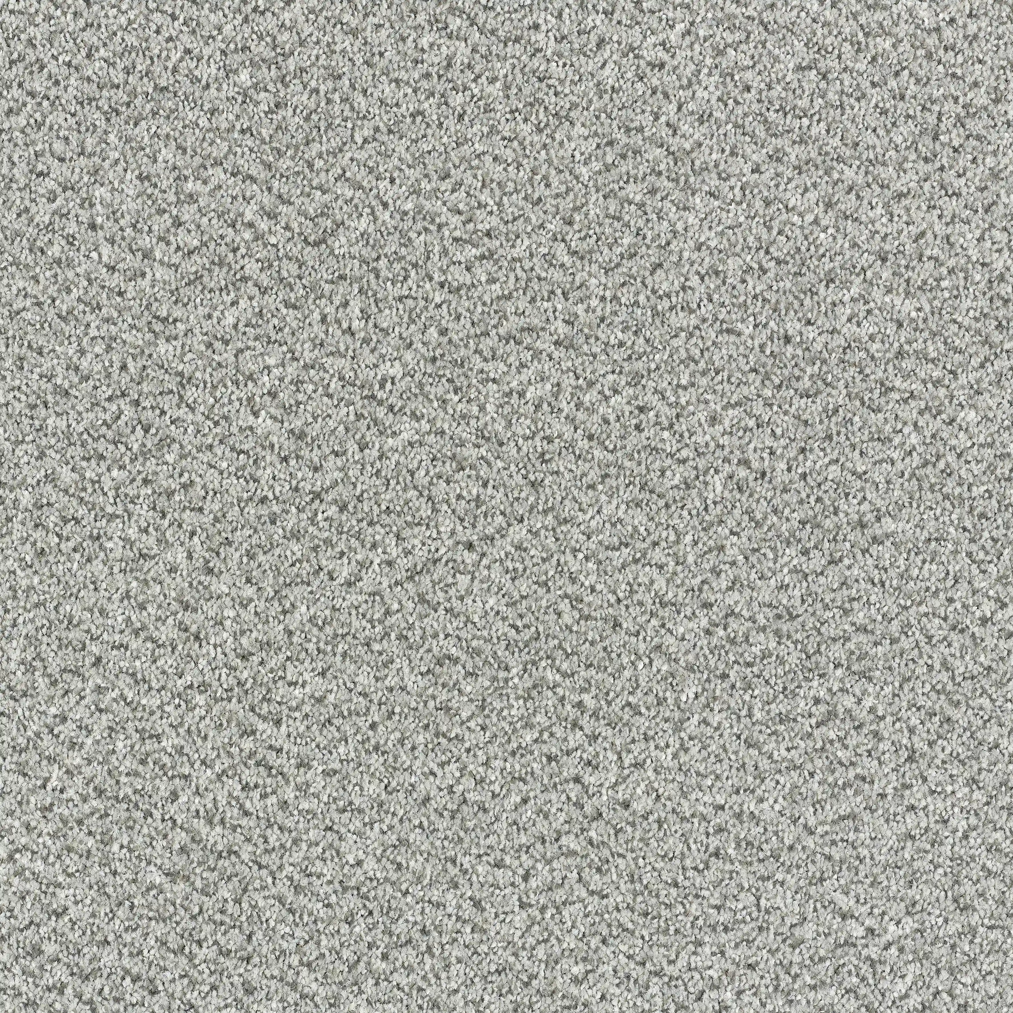 12752-05_Silver Shadow_result