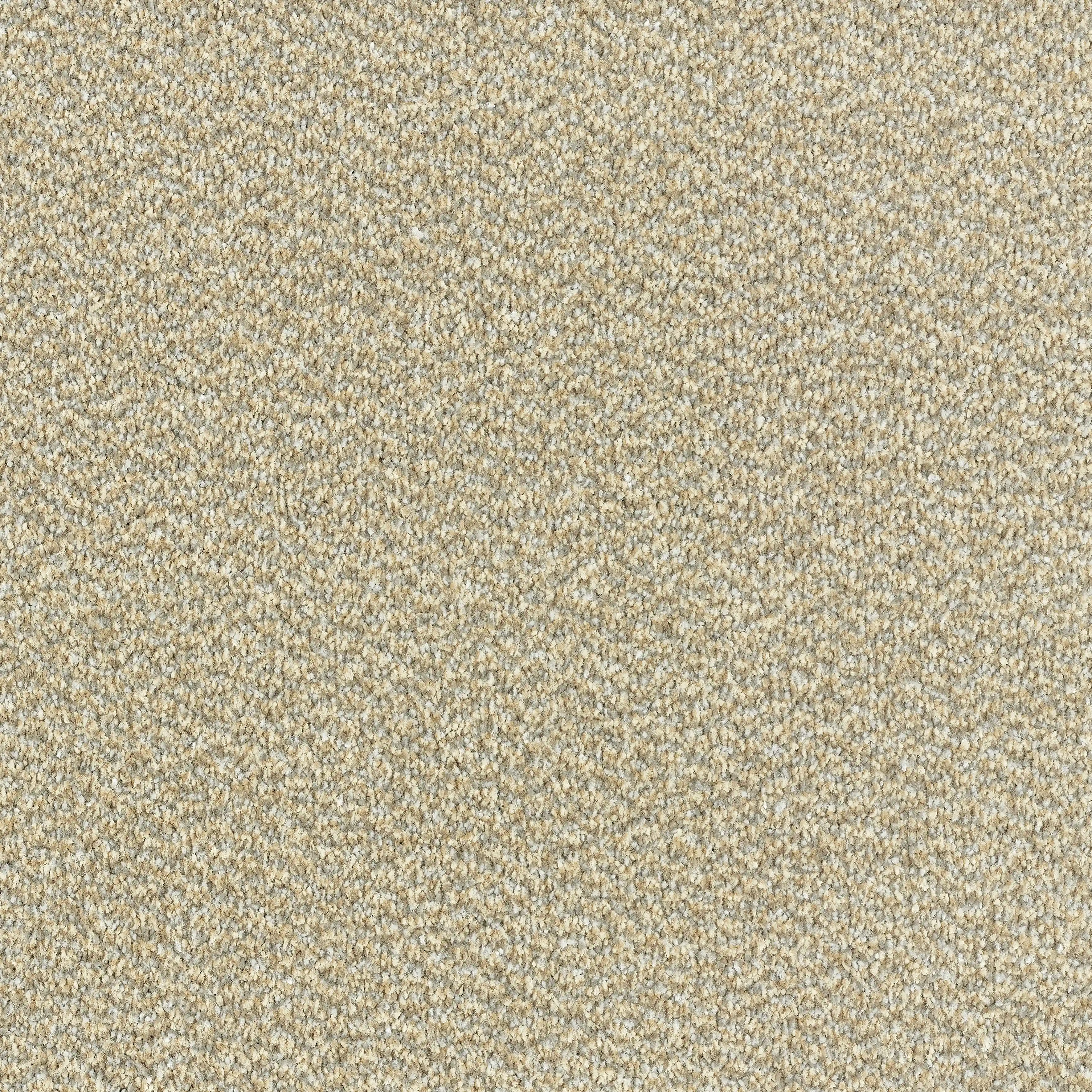 12752-12_Cool Beige_result