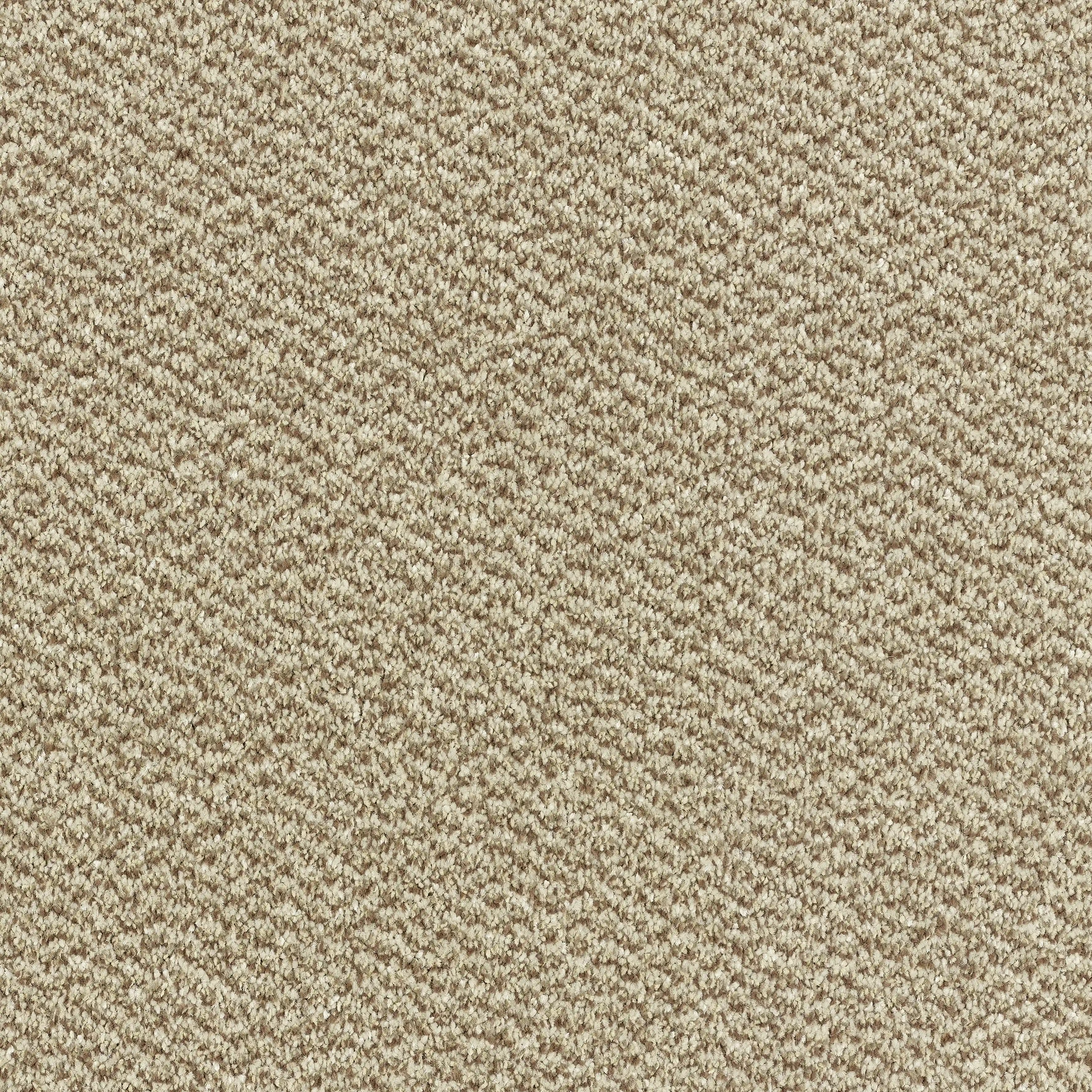 12752-13_Taupe_result