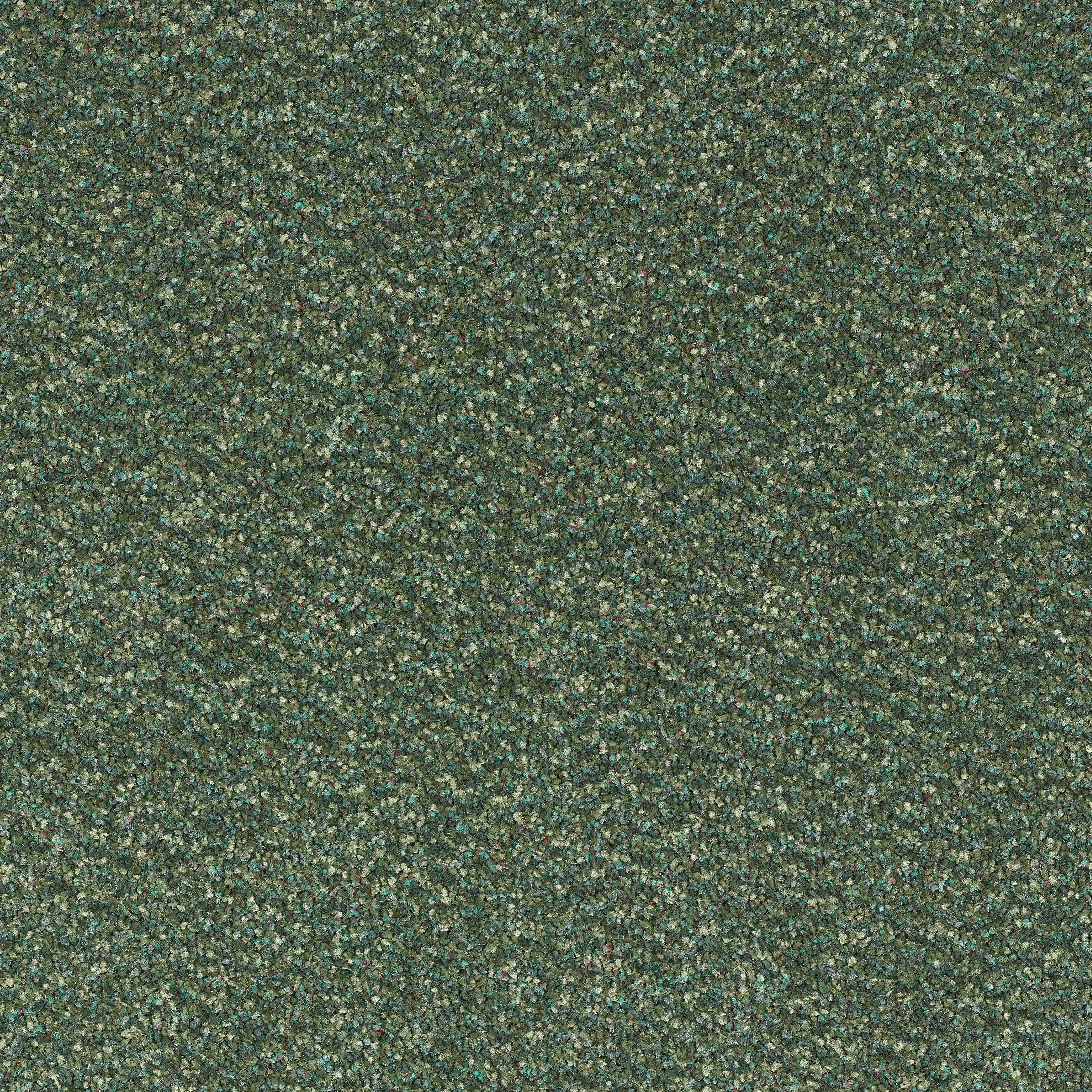 12752-19_Evergreen_result