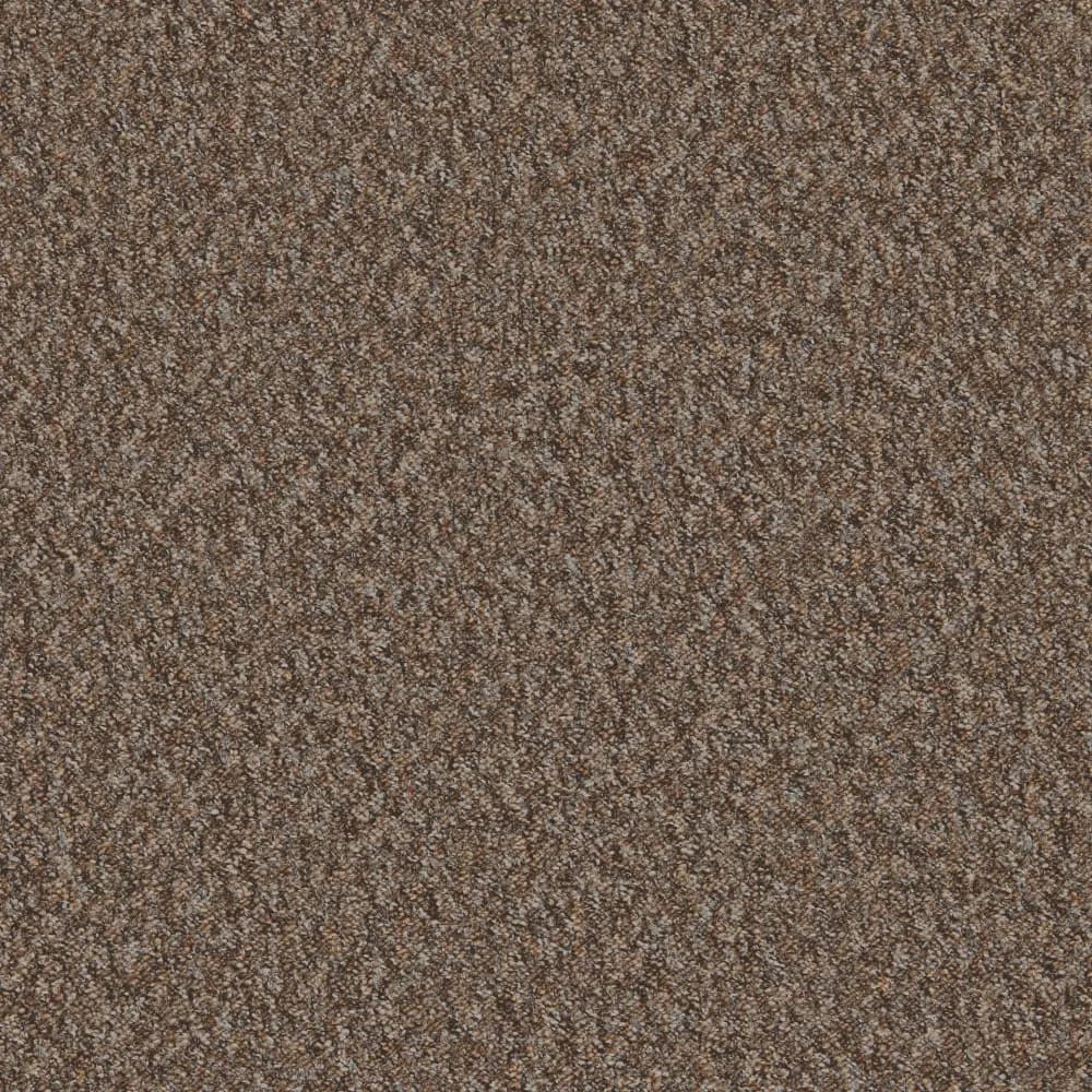 52127_Mojave_Cappucino_2024-05-17-120656_lgoi