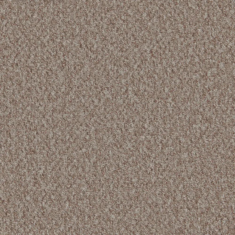 52128_Mojave_Beech-Nut_2024-05-17-120626_vwne