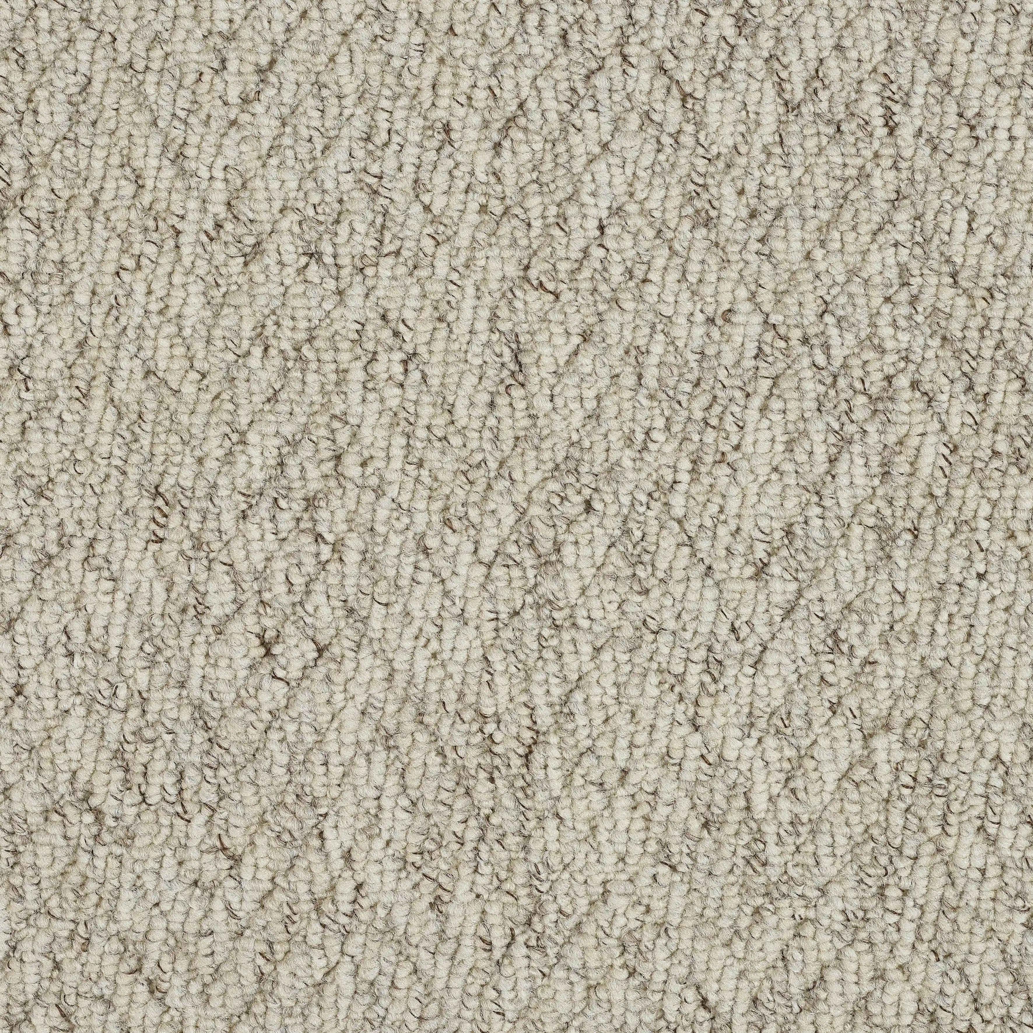 BERBER H