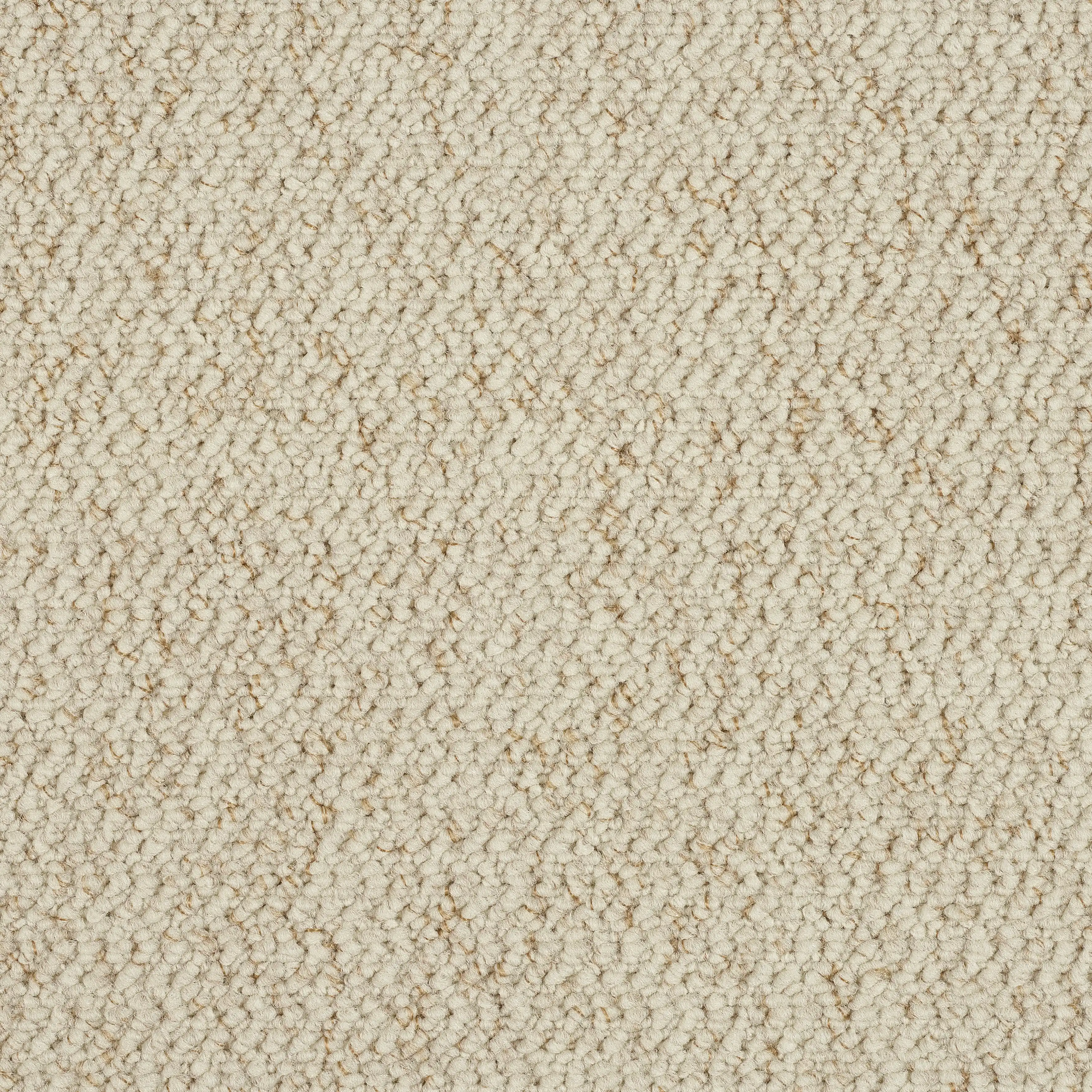 IVORY B