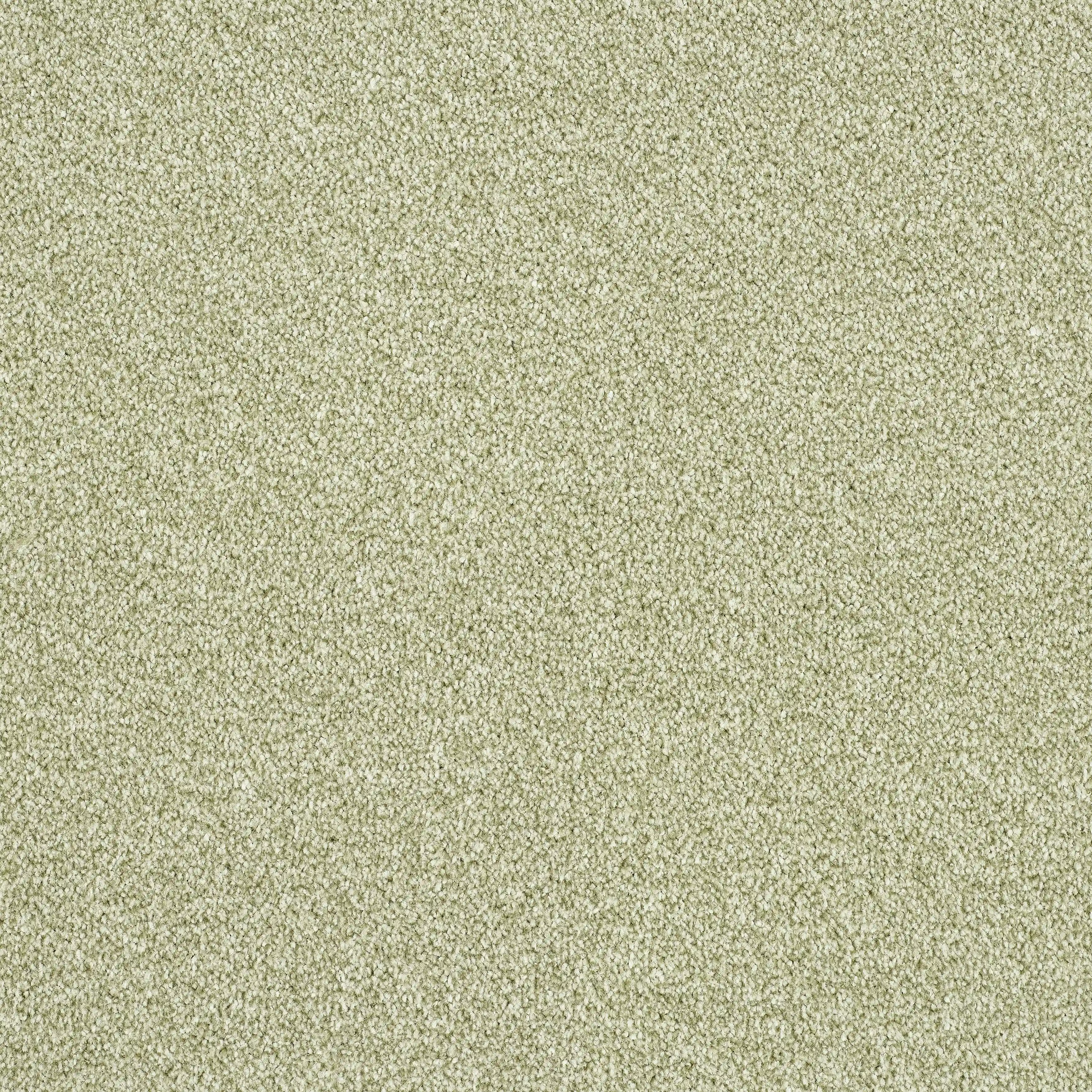 14161-21_SPRING BUD_result