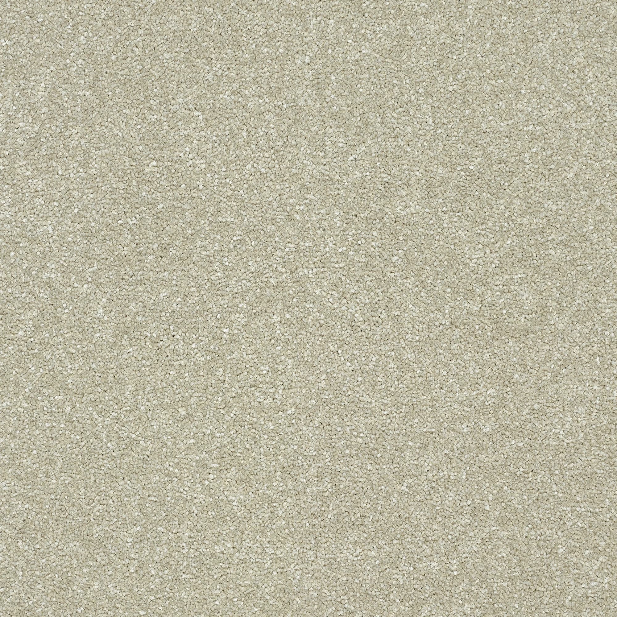 13961-04_DOVE_result