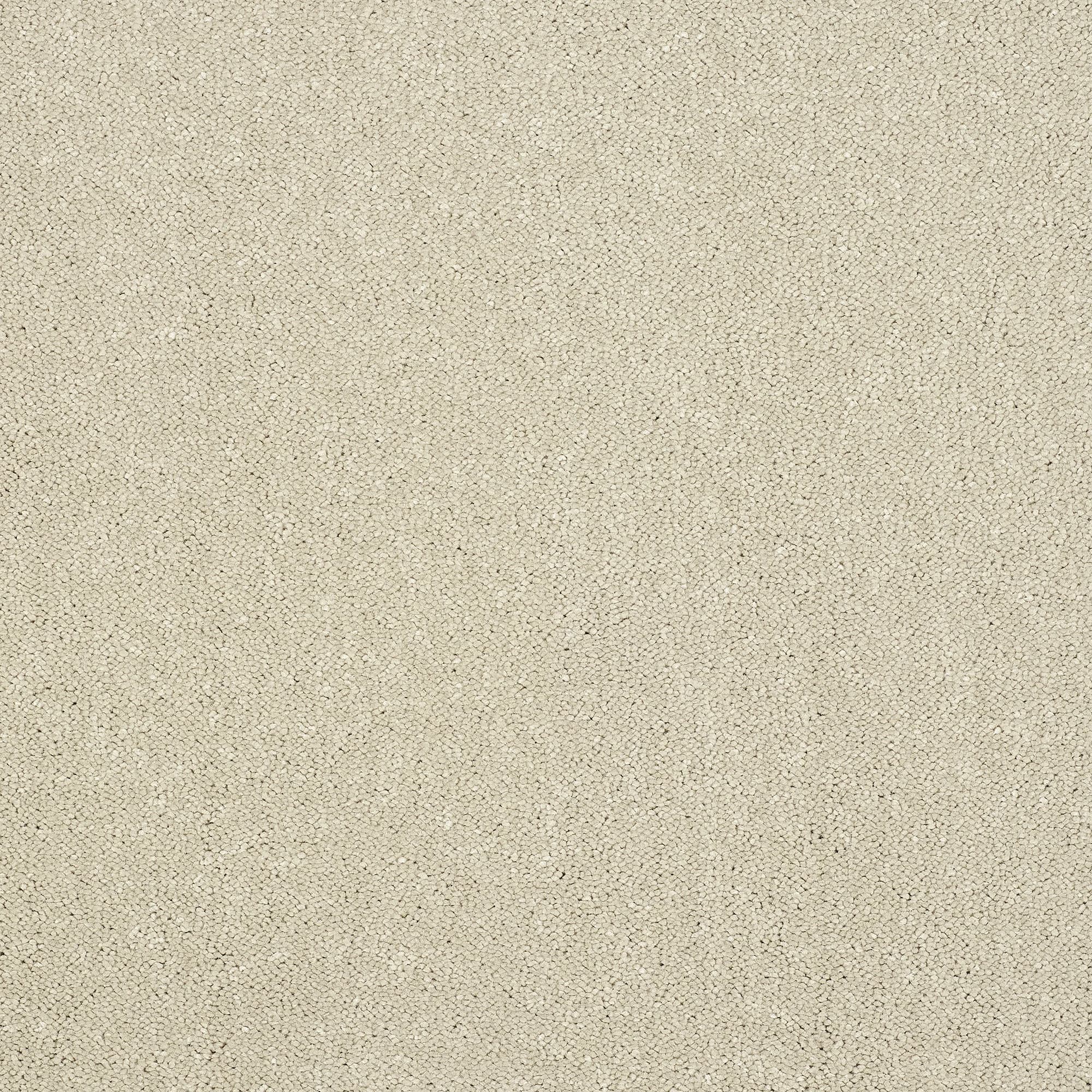 13955-14_TURTLE DOVE_result