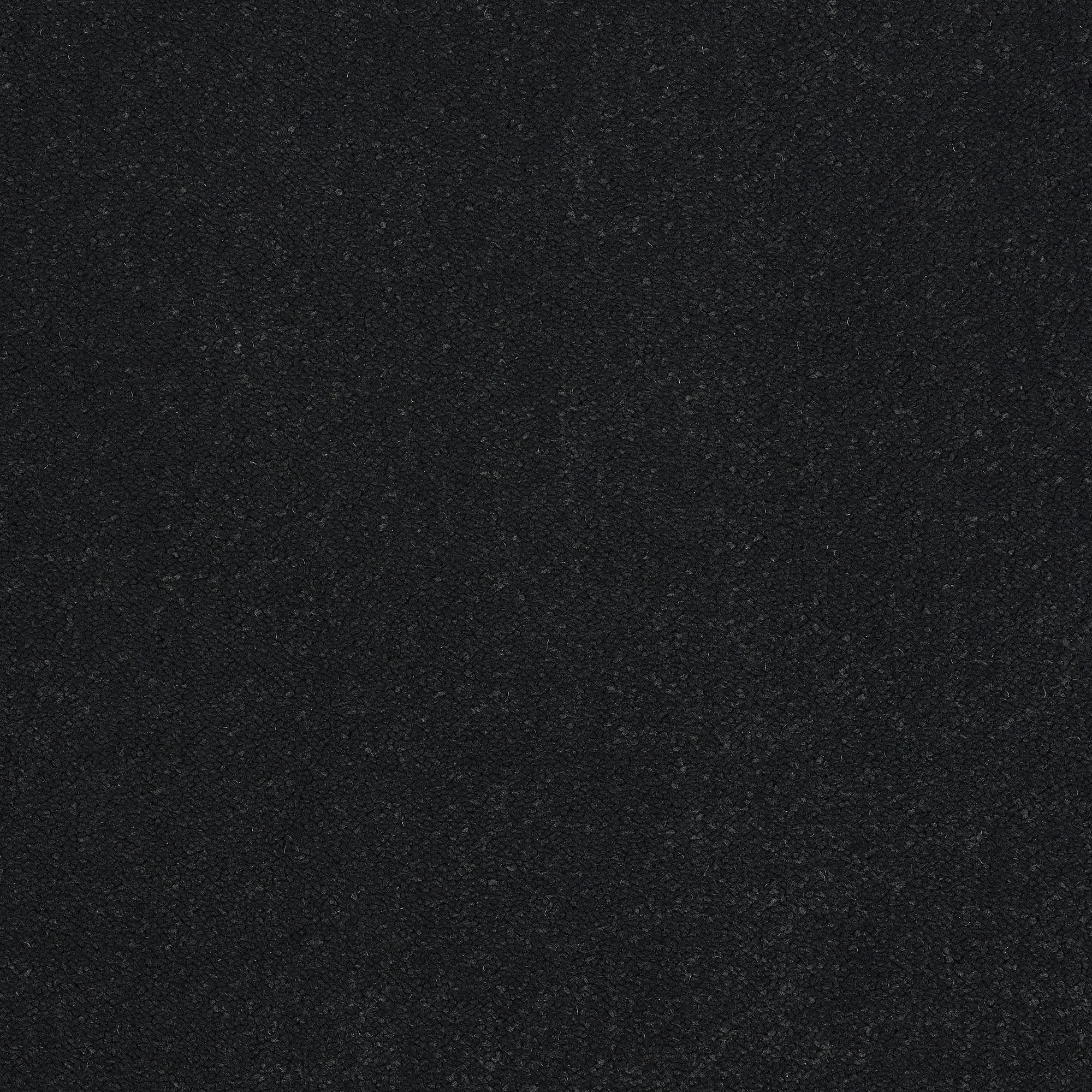 13952-01_BLACK RAVEN_result