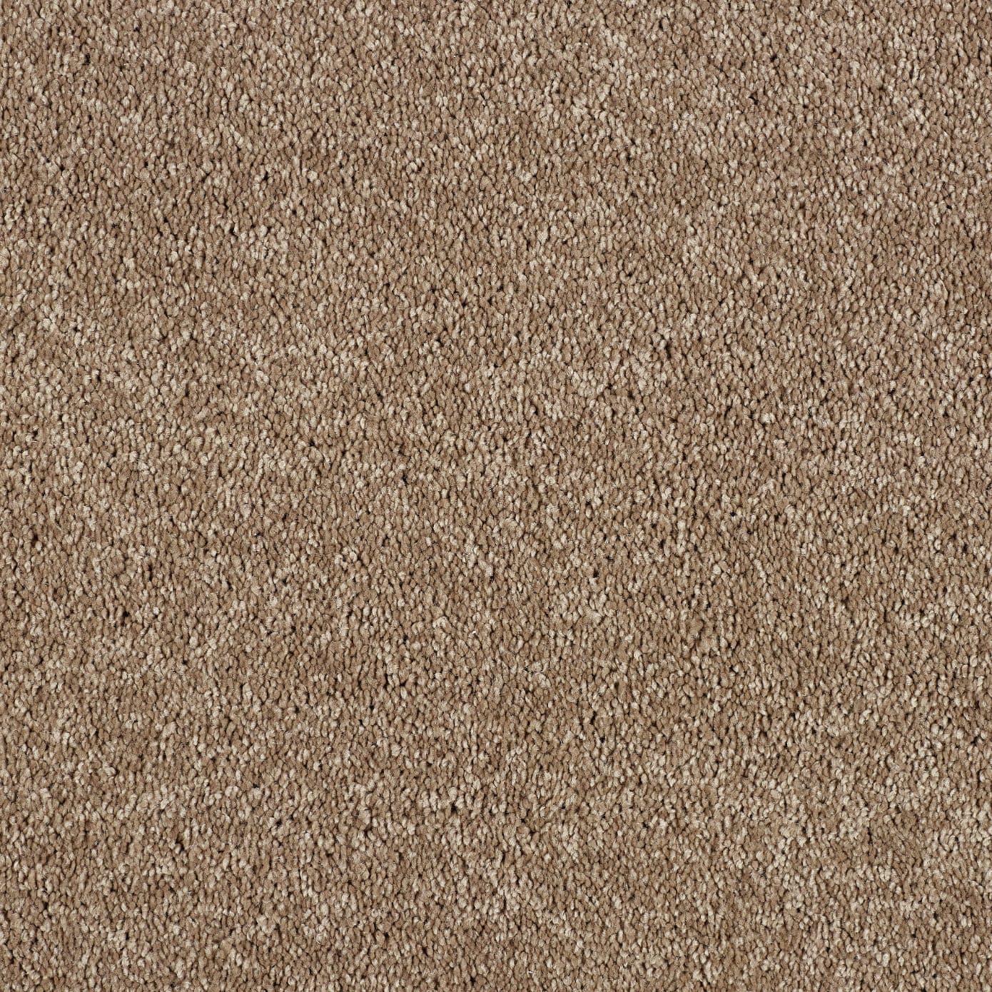 VELVET TAUPE