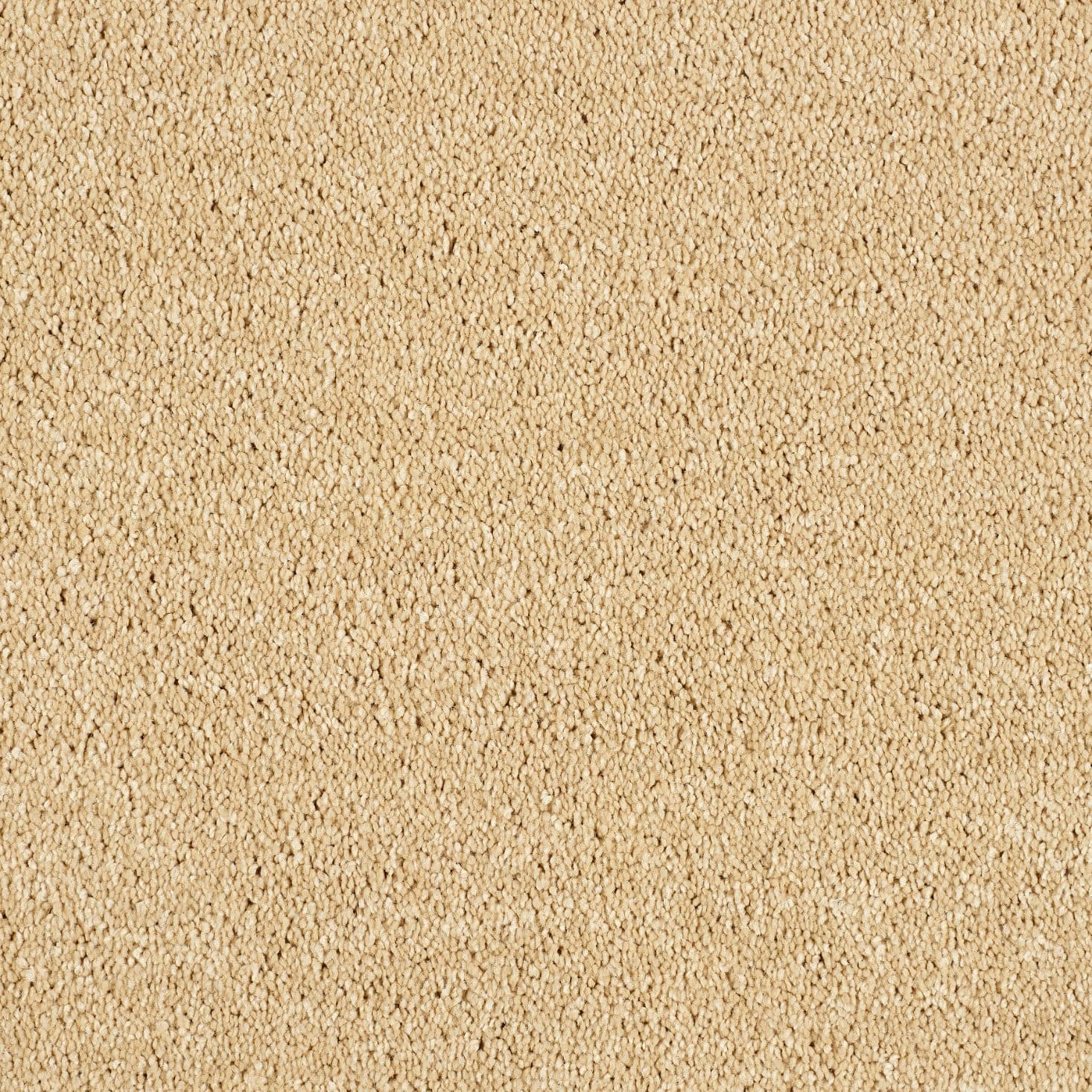 SOFT SANDSTONE