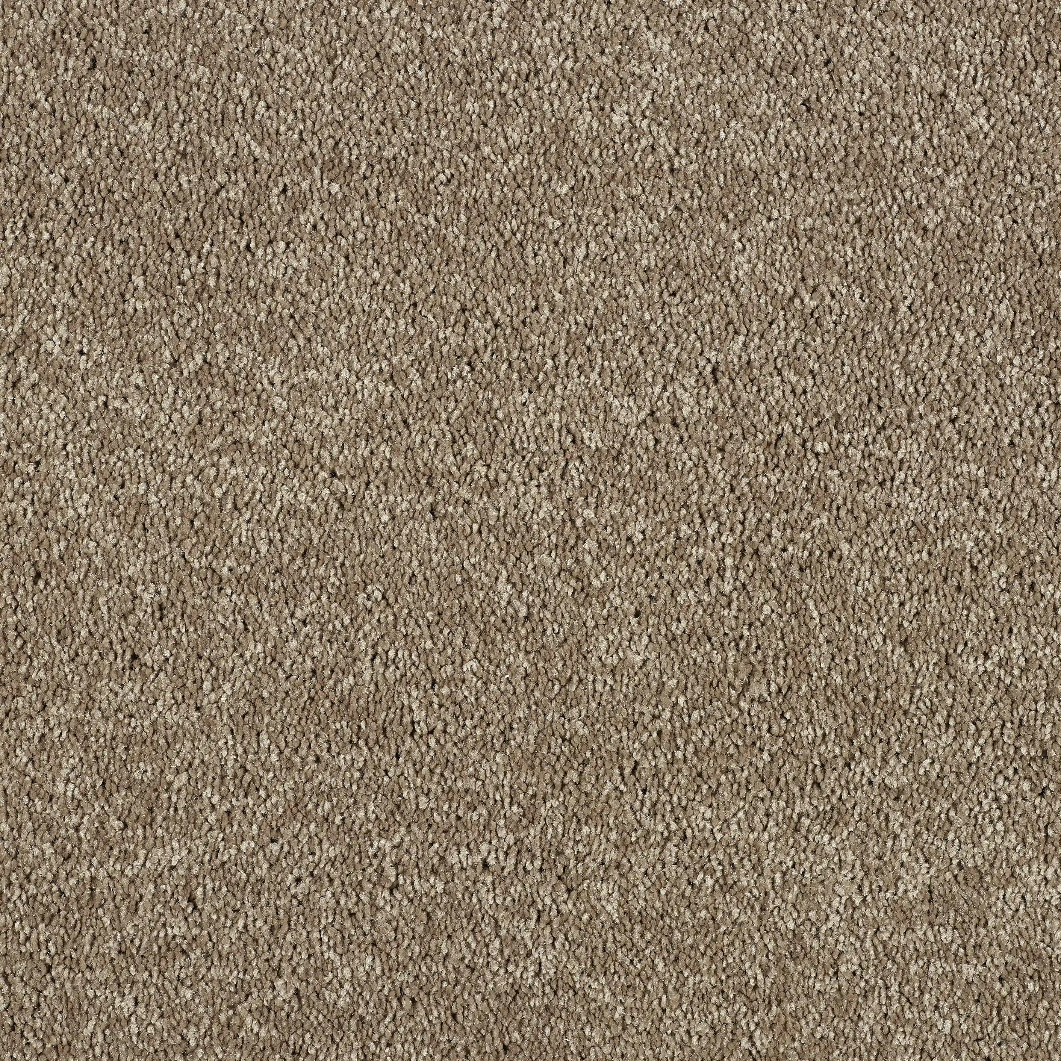VELVET TAUPE