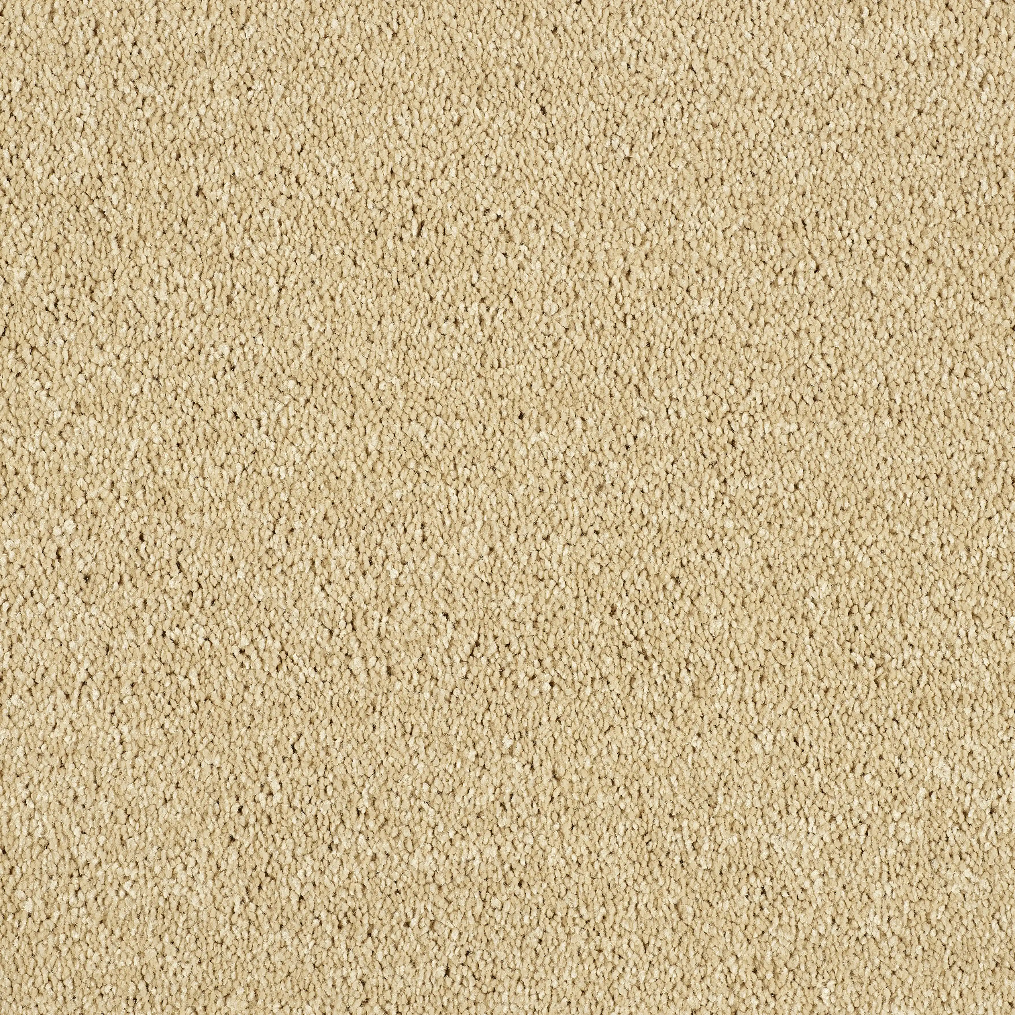 SOFT SANDSTONE