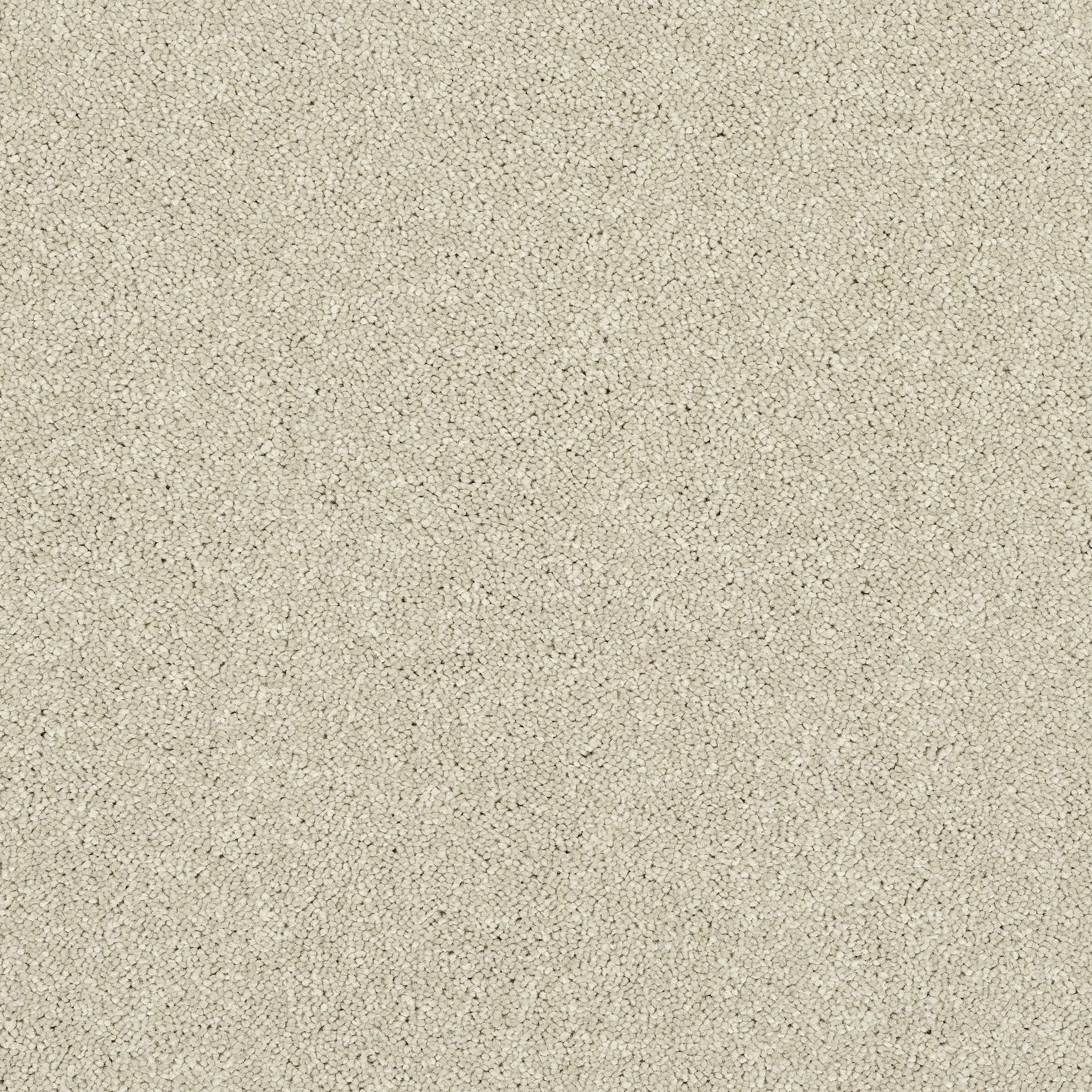 13539-07_Cotton_result
