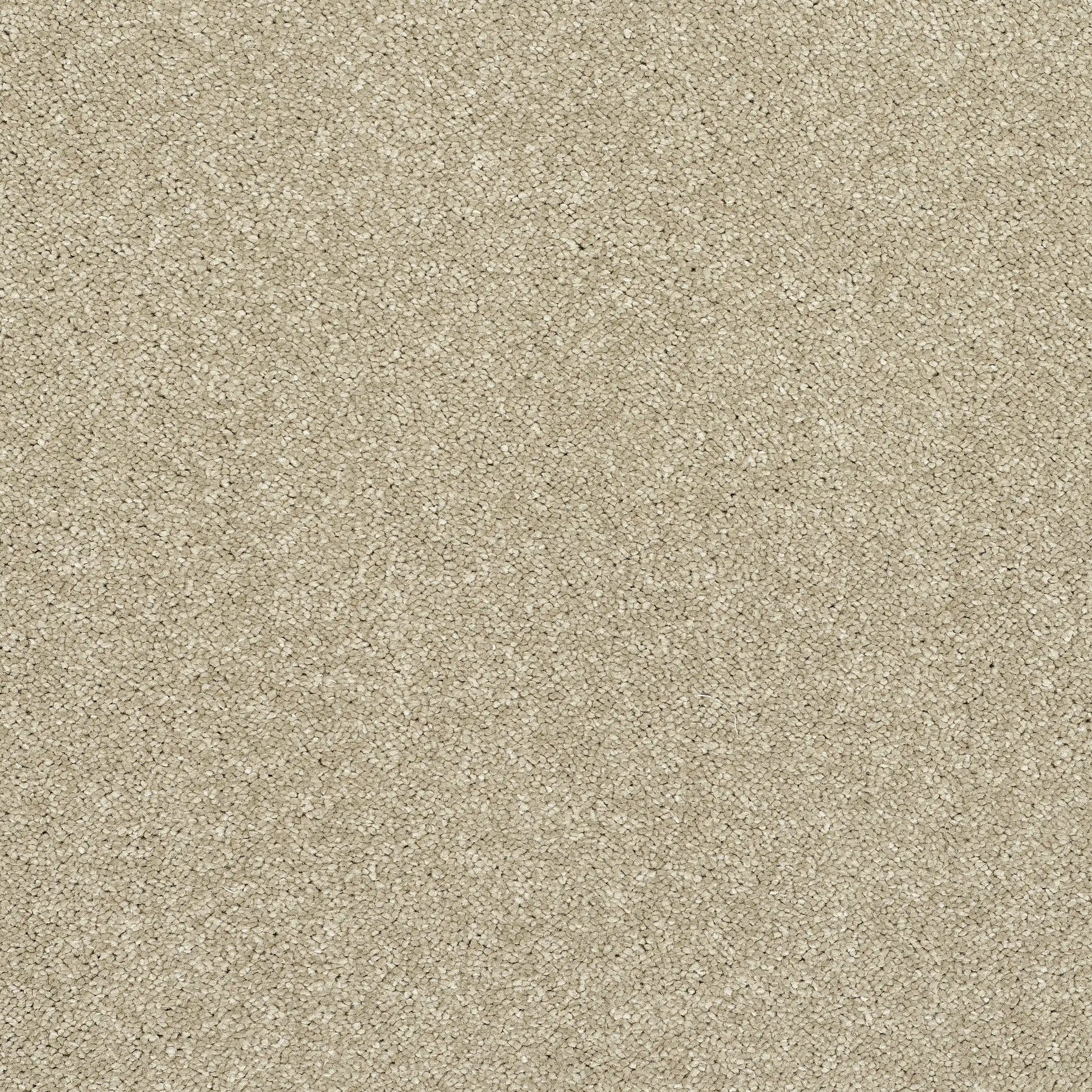 13539-08_Latte_result