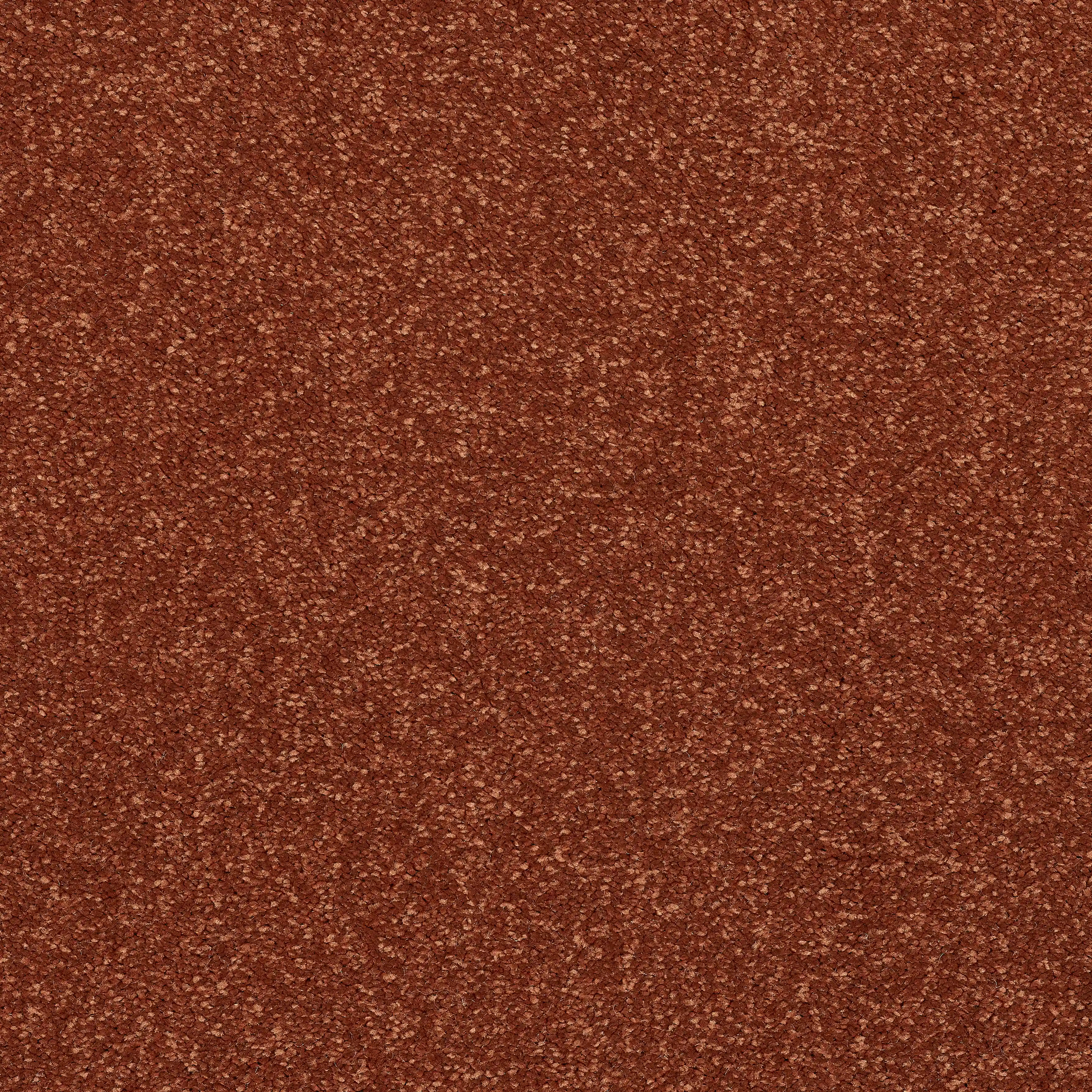 13539-18_Terracotta_result