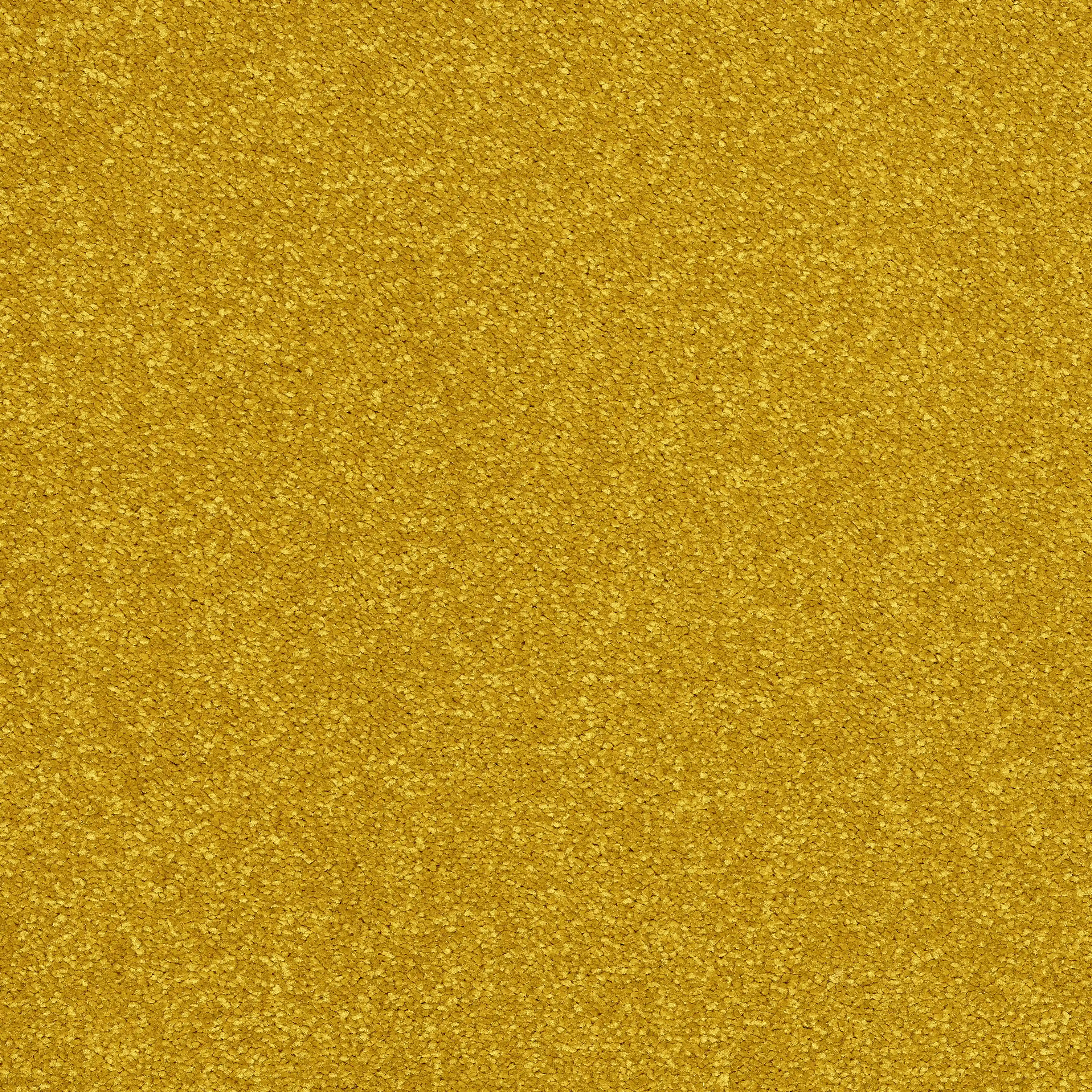 13539-19_Old Gold_result