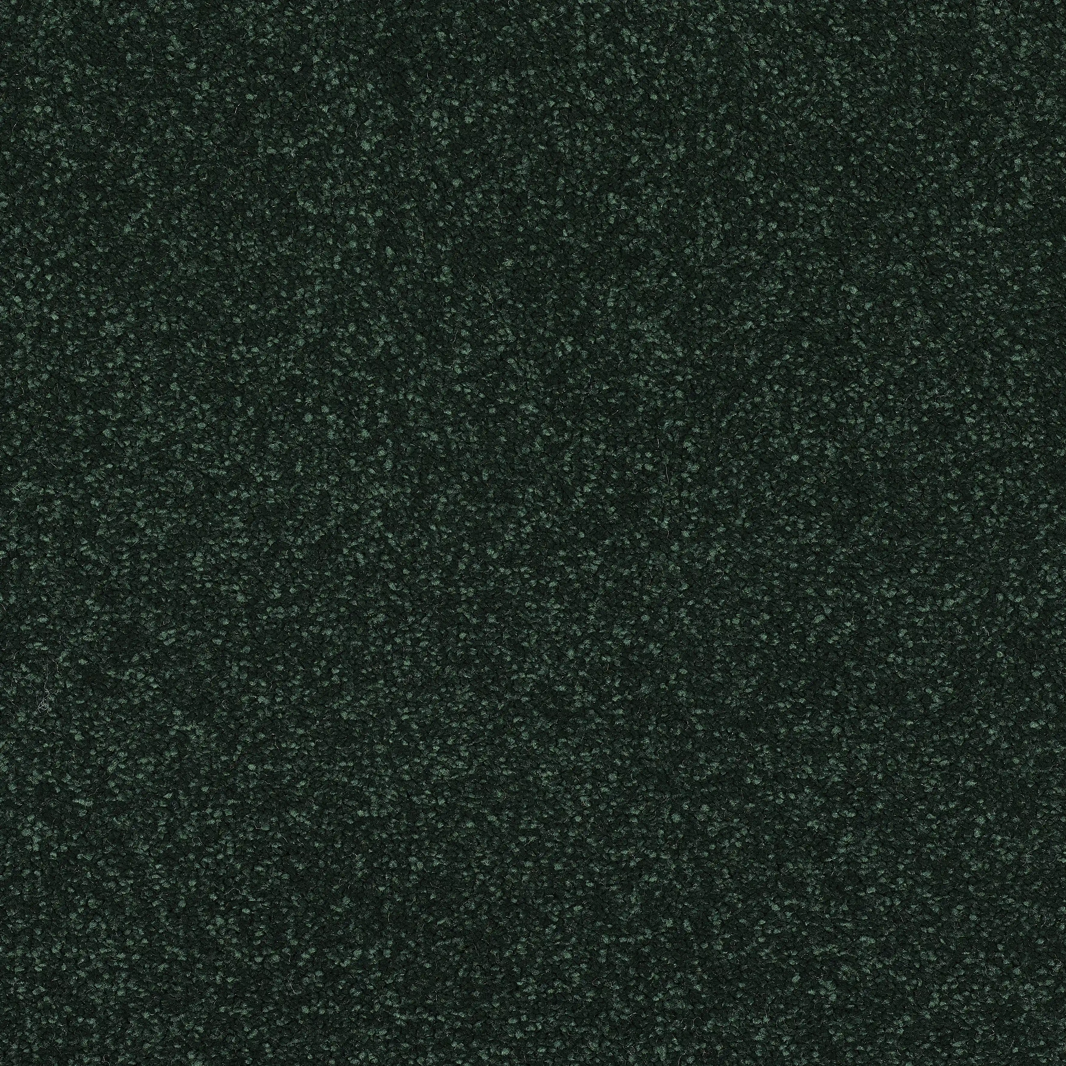 13539-20_Fir Green_result