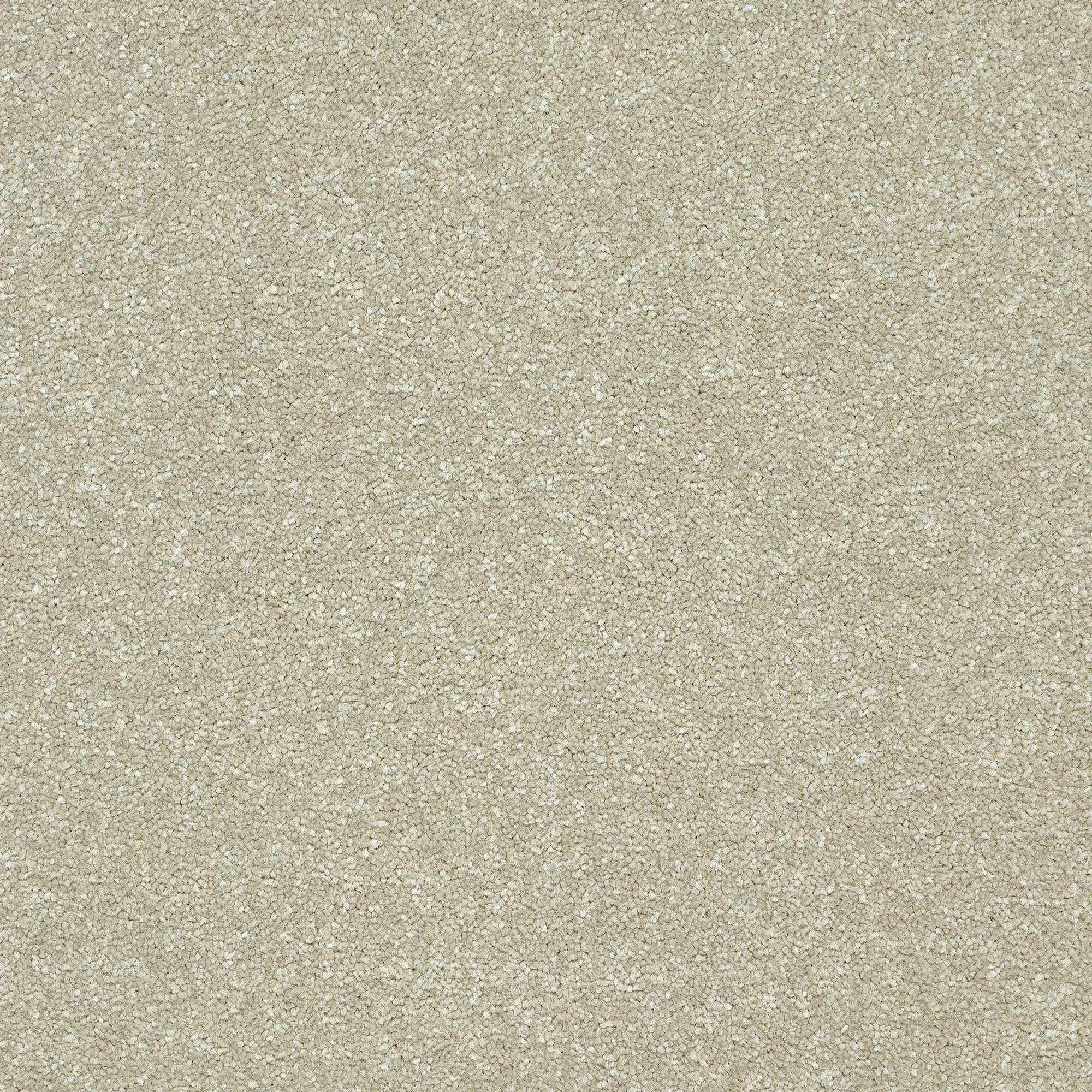 13961-04_DOVE_result