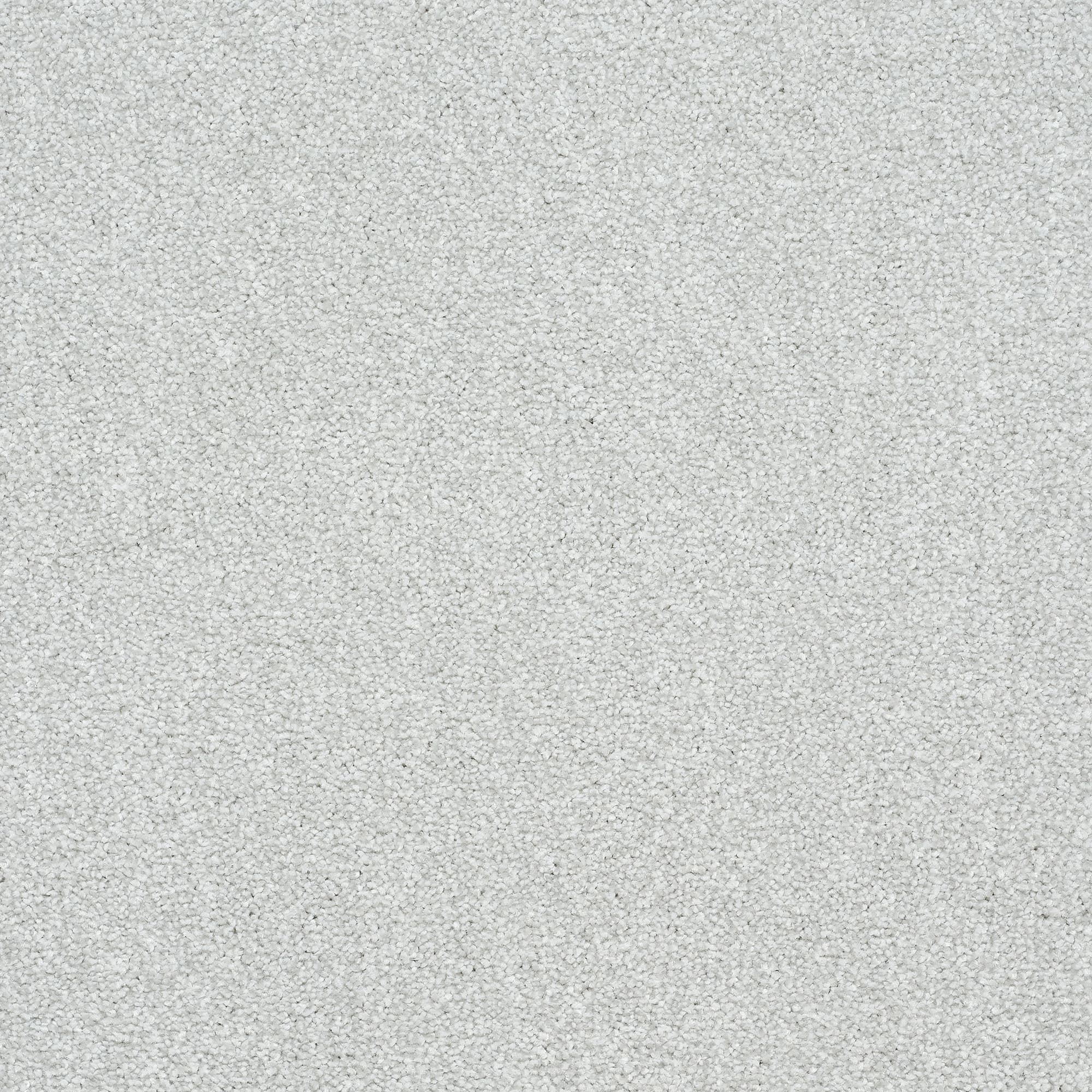 13961-17_ICE CRYSTAL_result