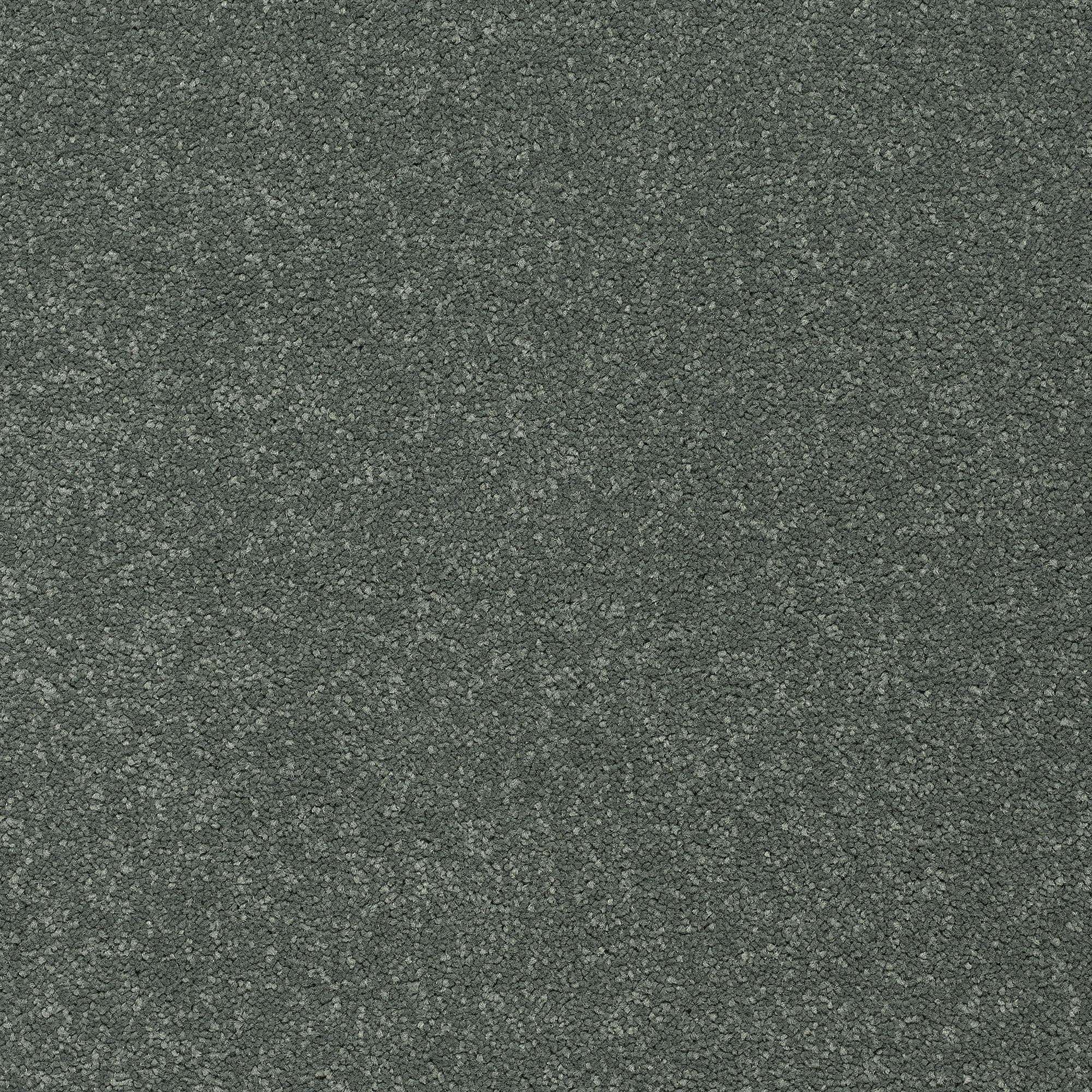 13961-26_BASIL_result