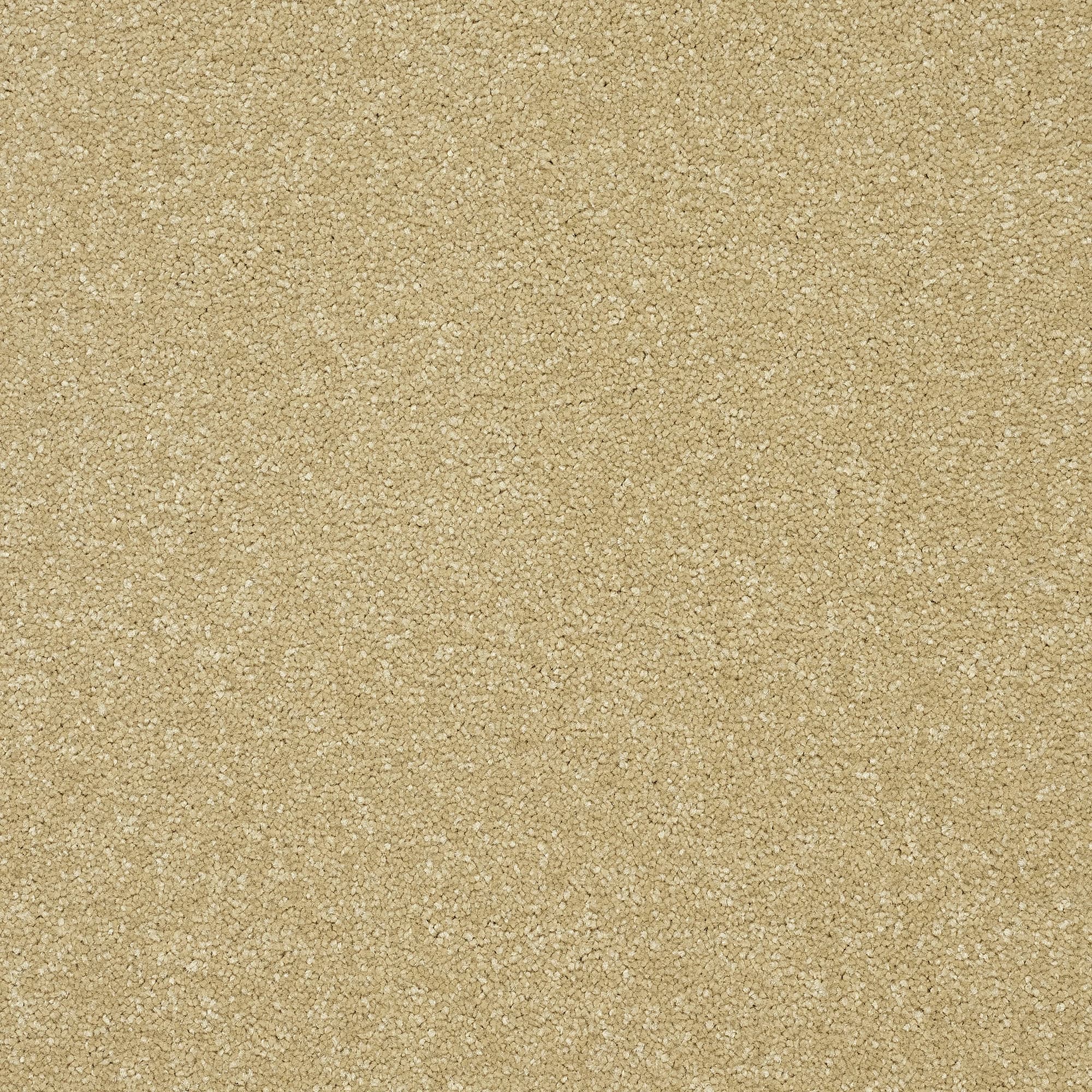 13961-27_HONEY GOLD_result