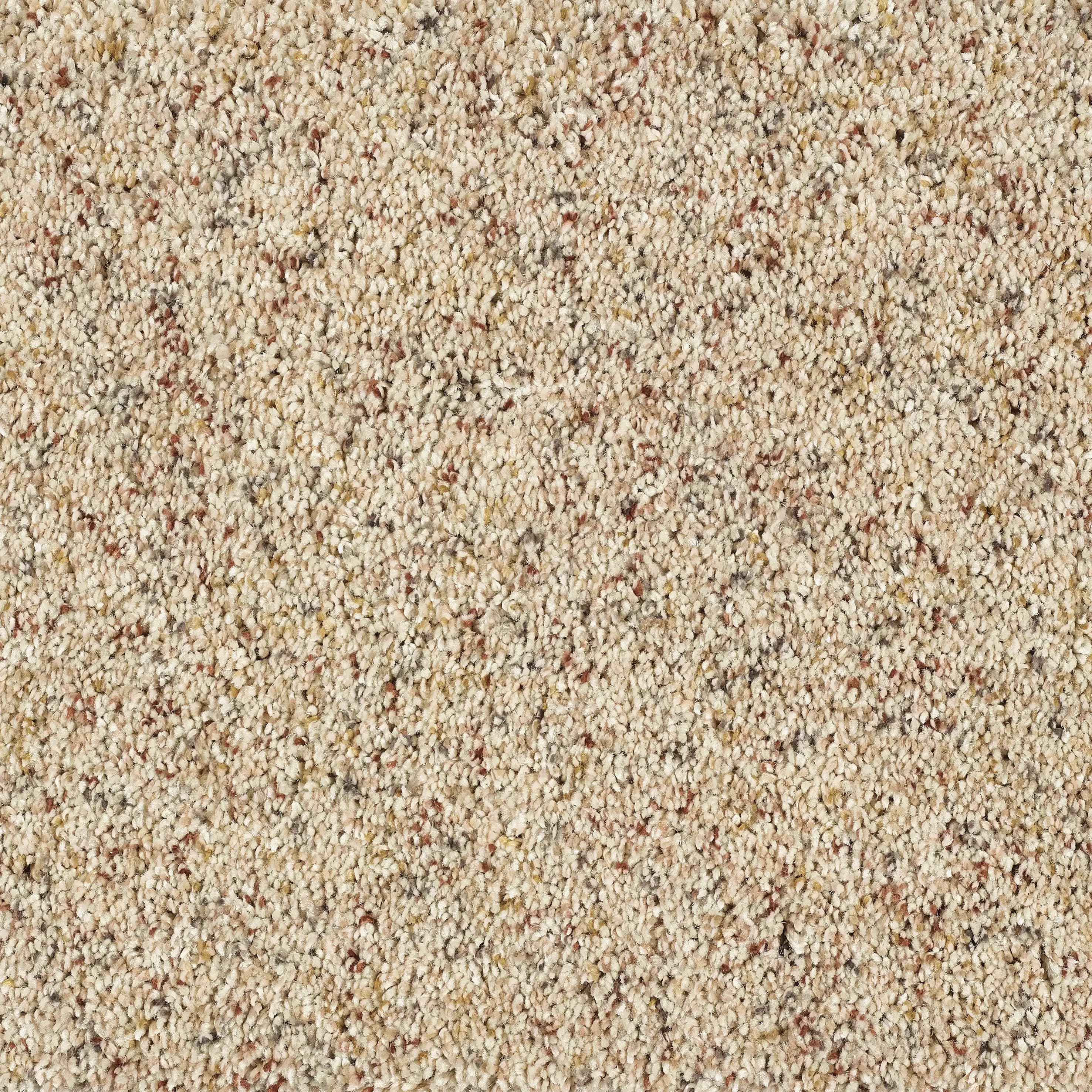 13469-02_Pebble Beach