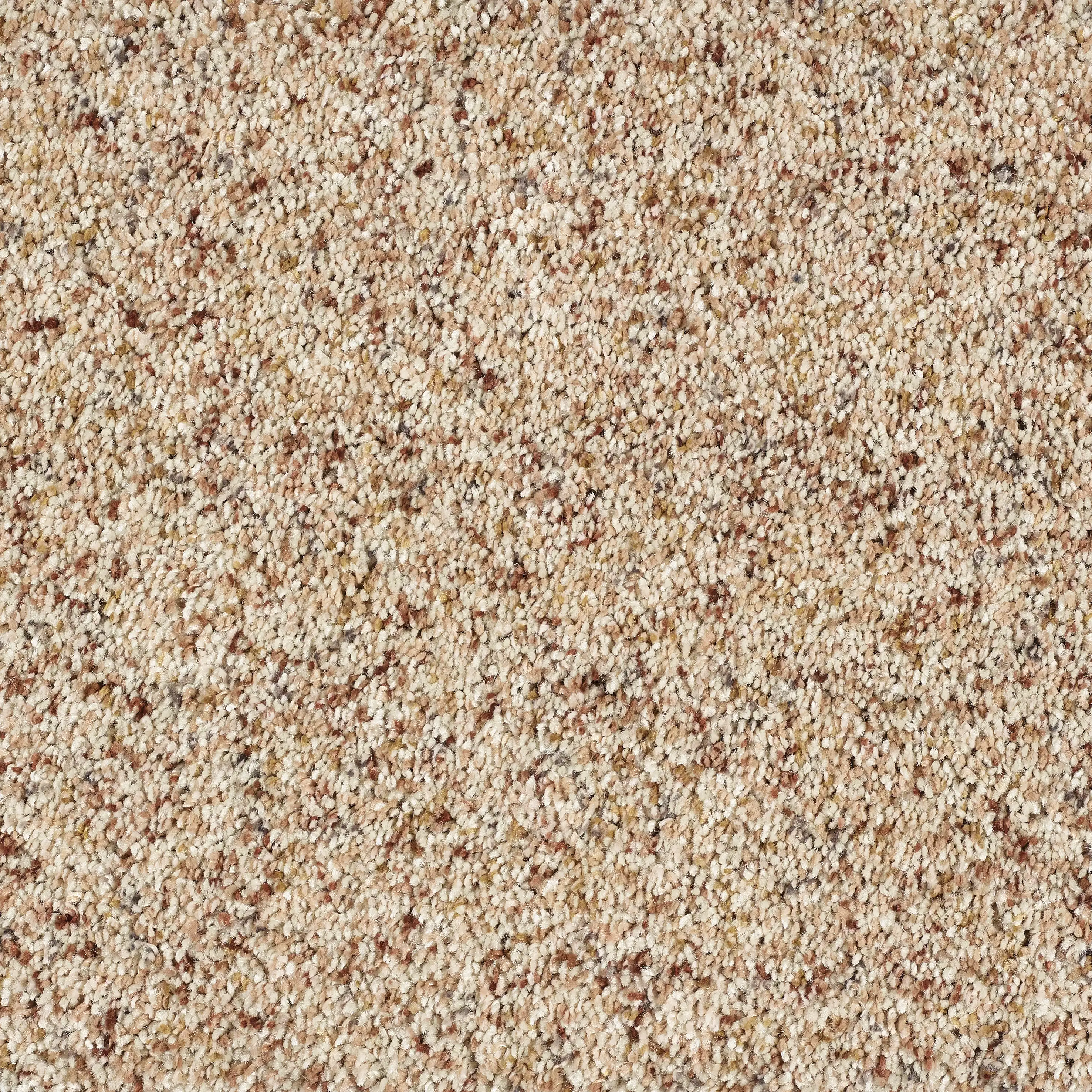 13469-03_Sandstorm