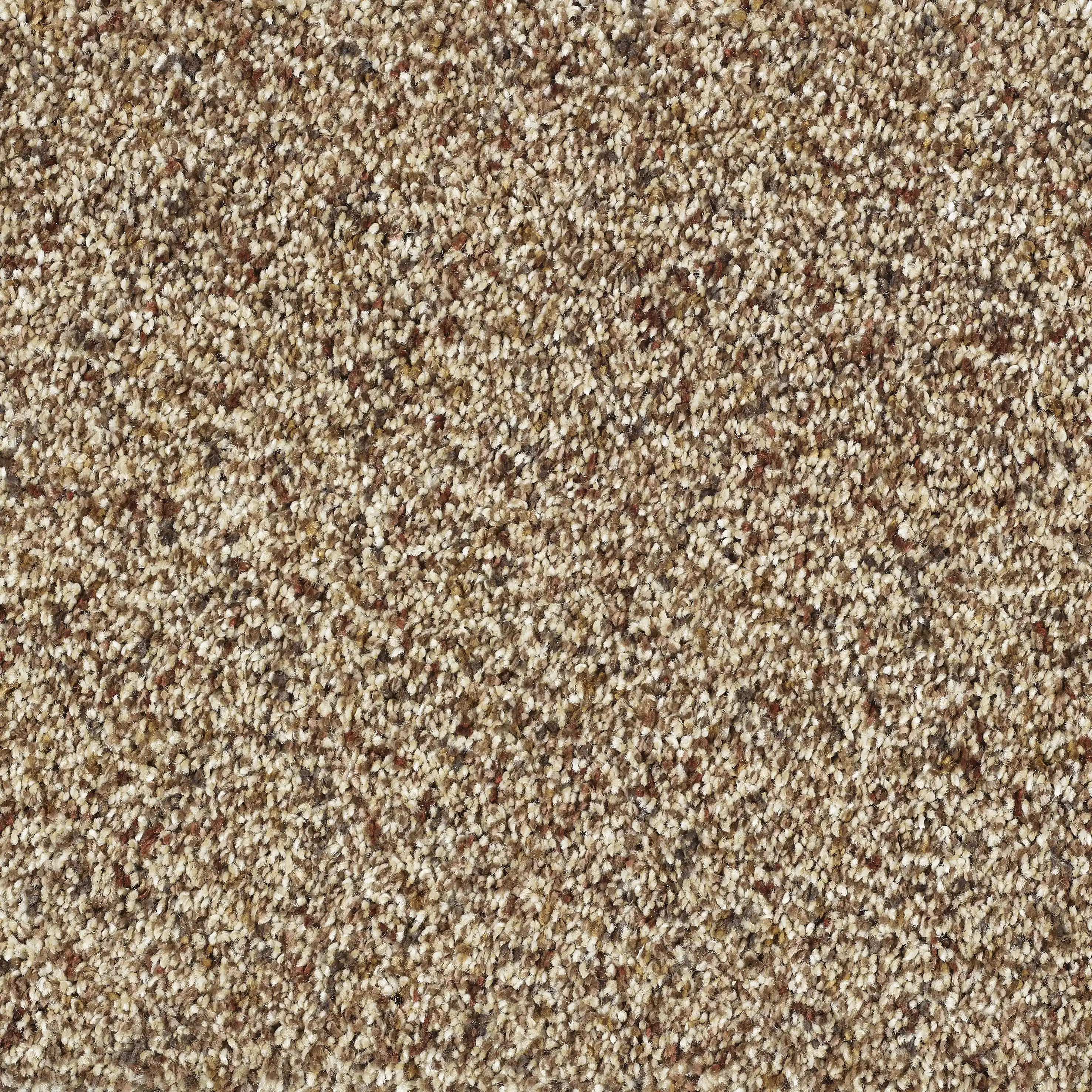 13469-04_Cinnamon