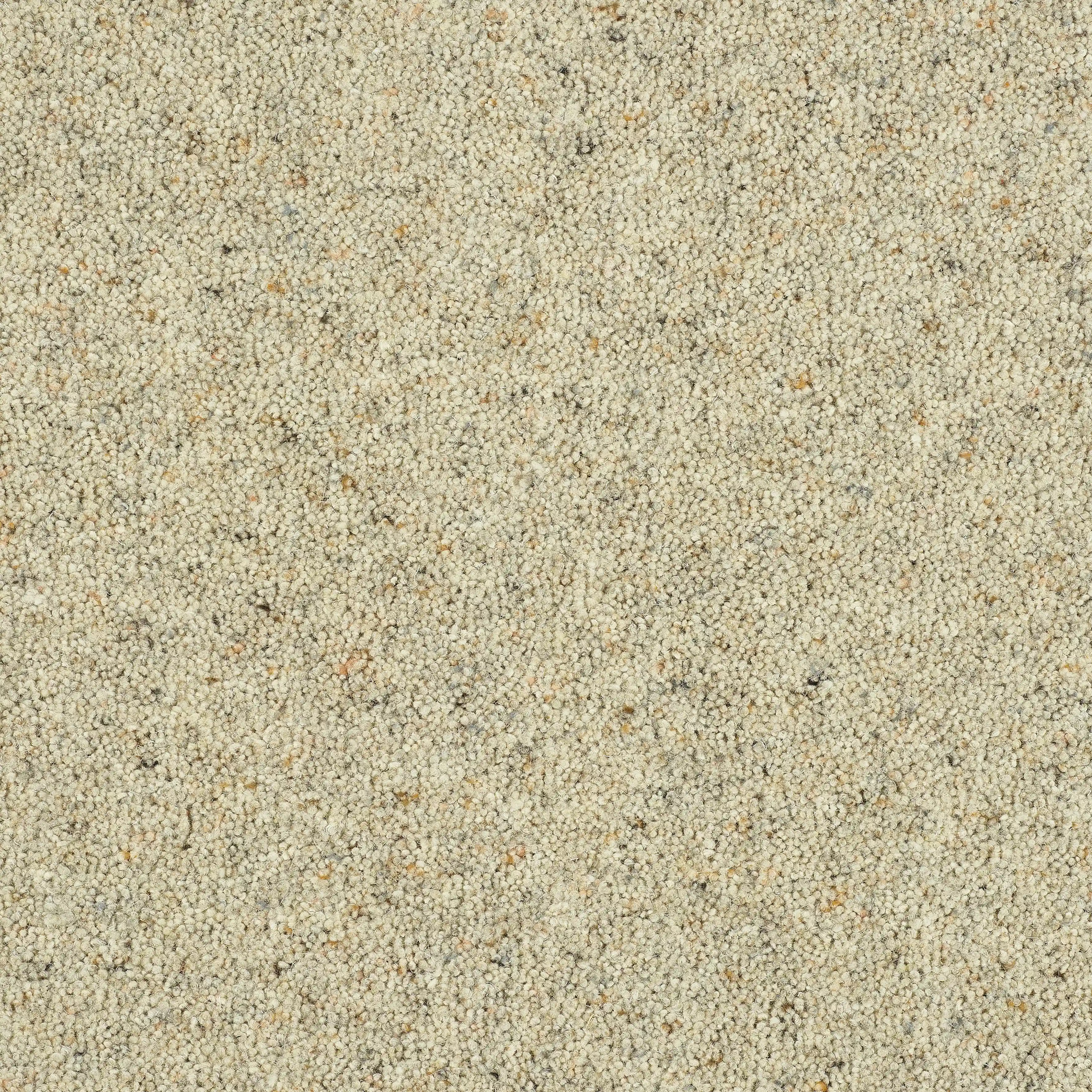 13572-02_Nutmeg_result