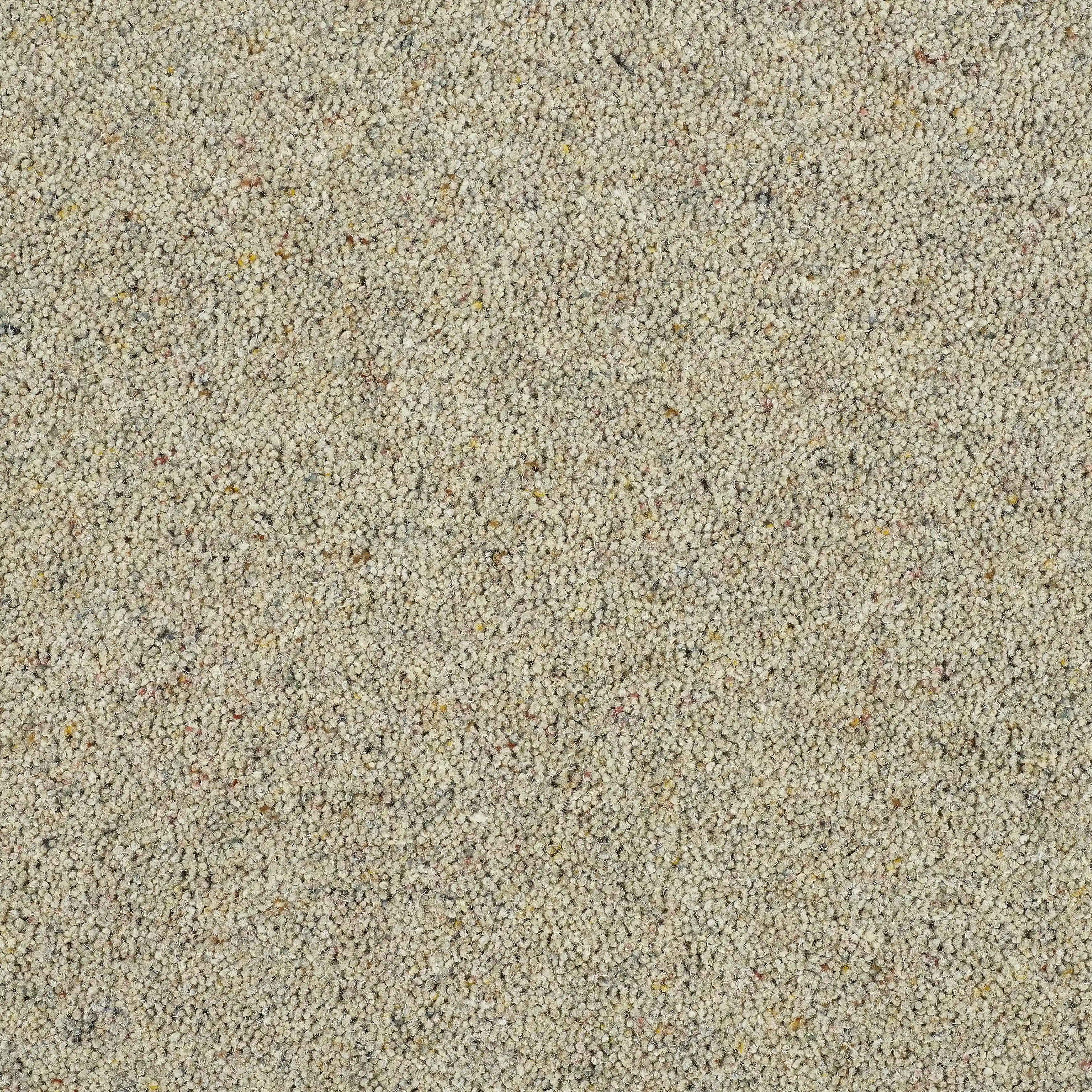 13572-04_Flax_result