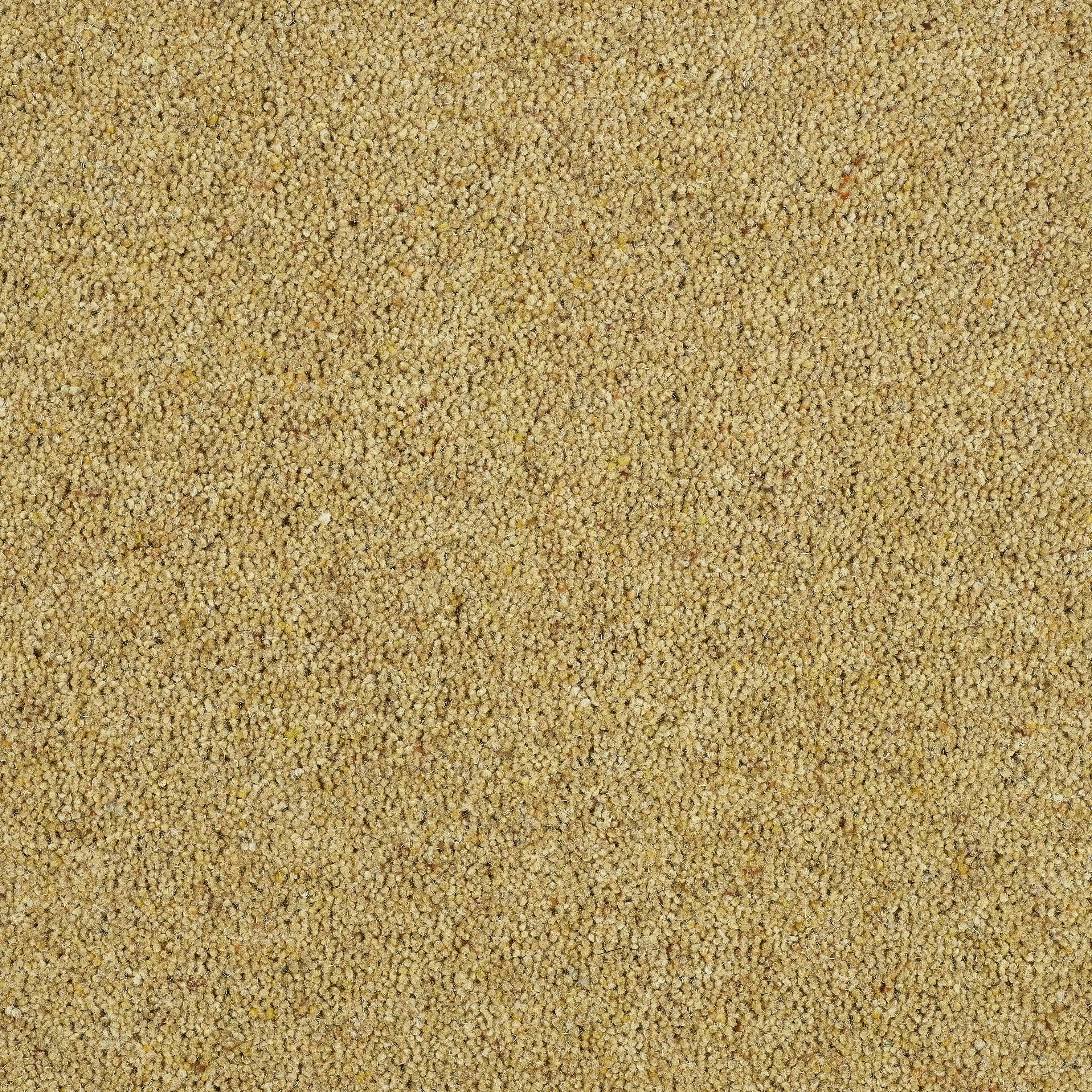13572-15_Summer Sun_result