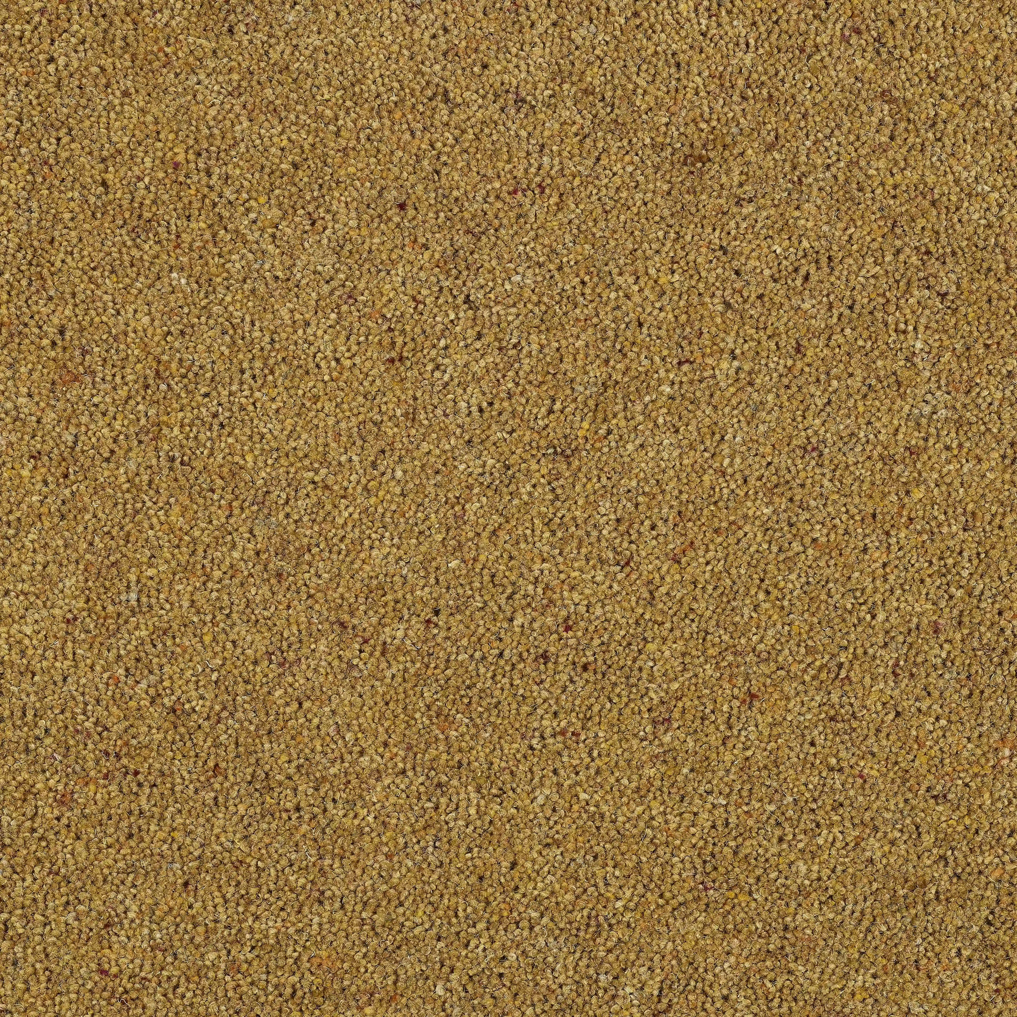 13572-16_Mustard_result