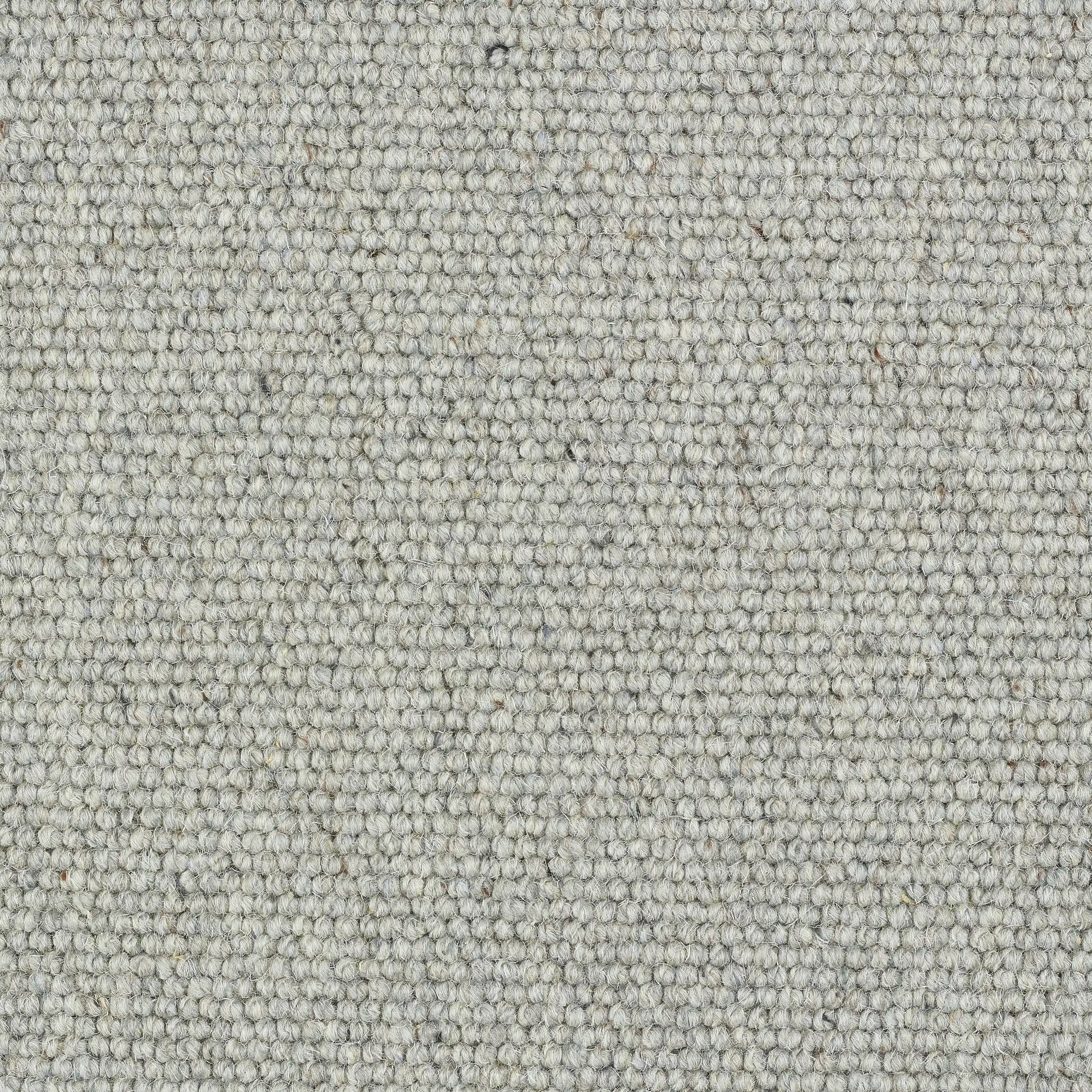 DOLPHIN GREY