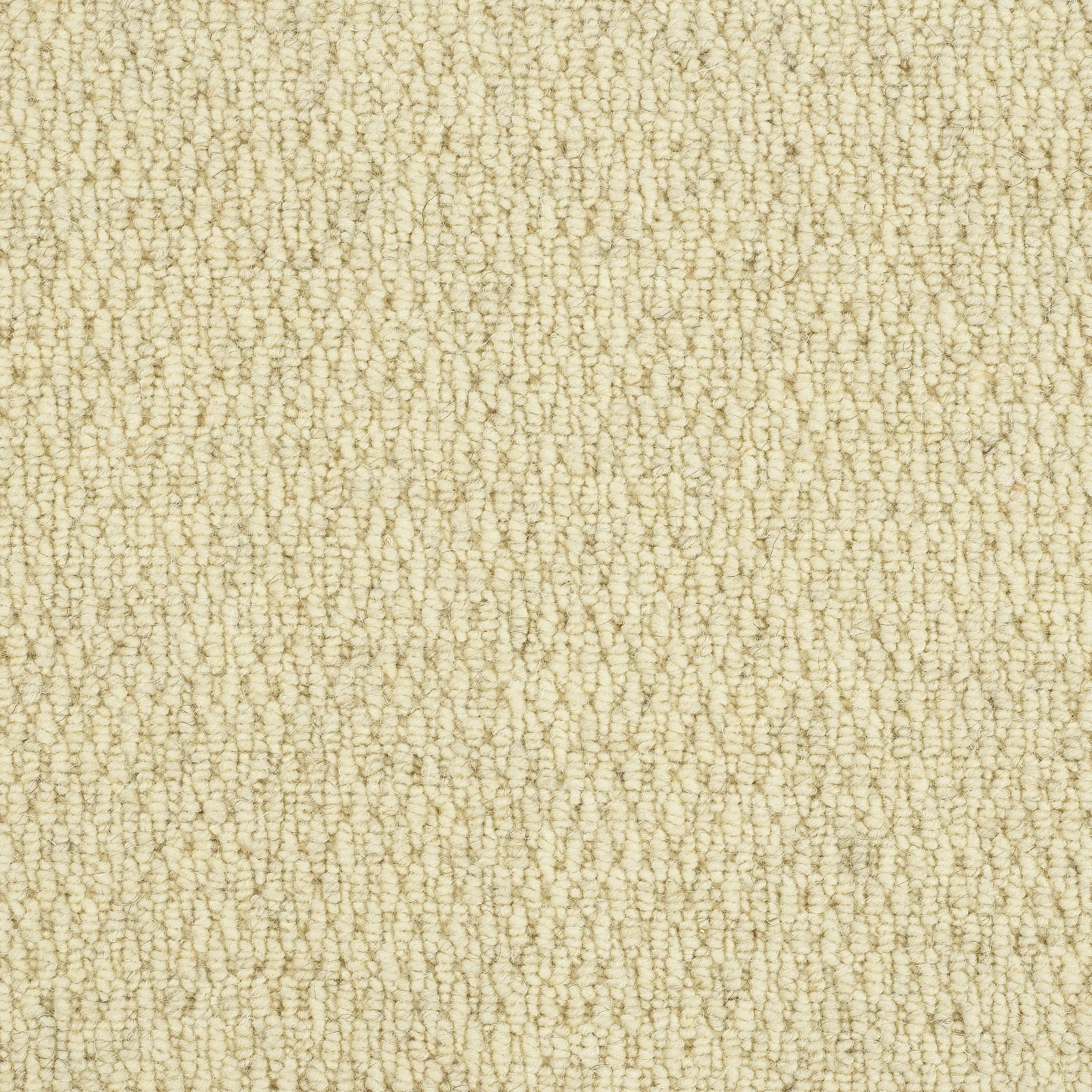 13567-10_Squirrel_result