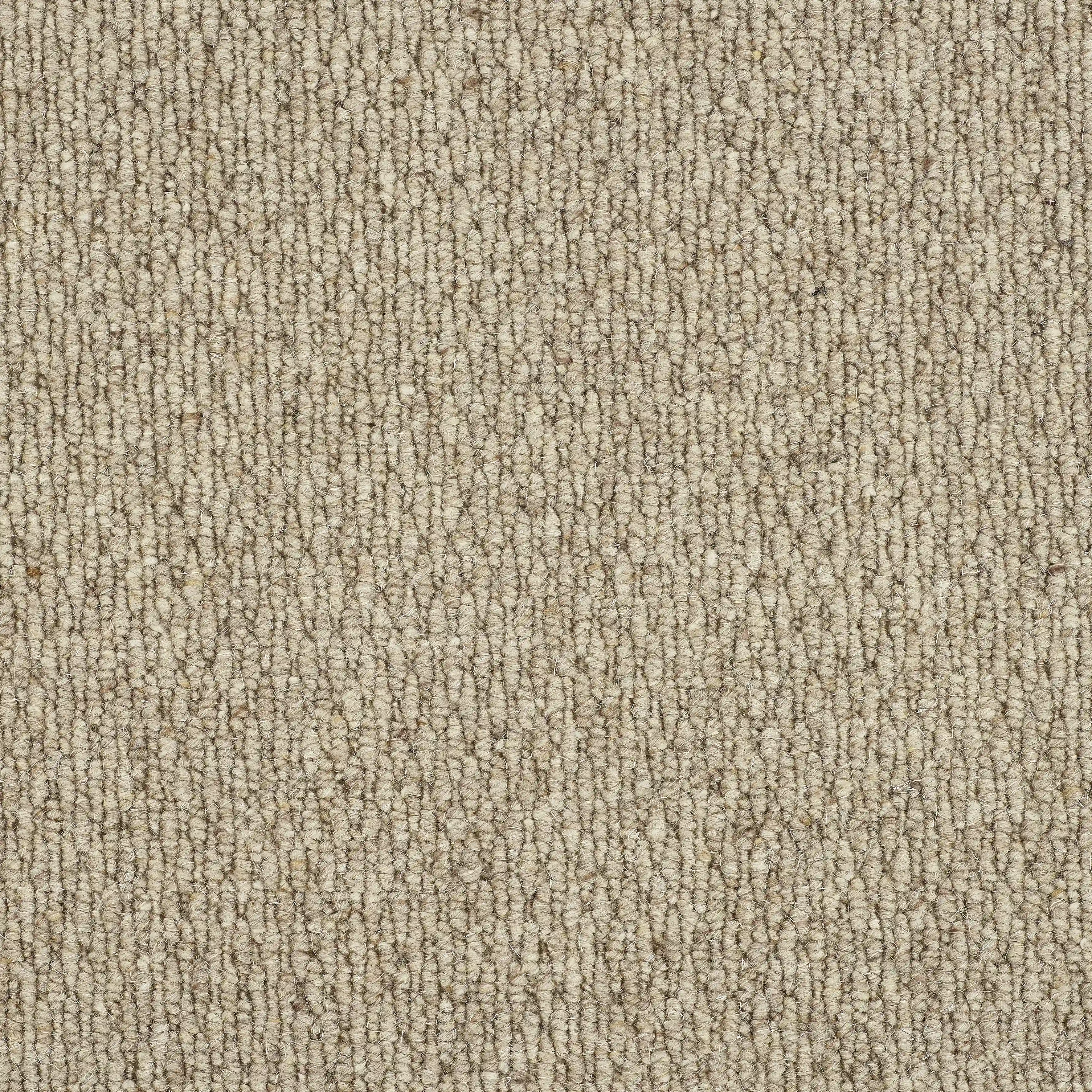 13567-05_Biscotti_result