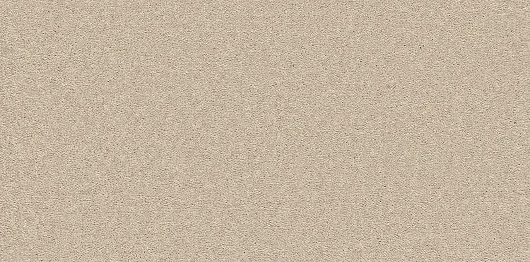 Tortoise-Shell