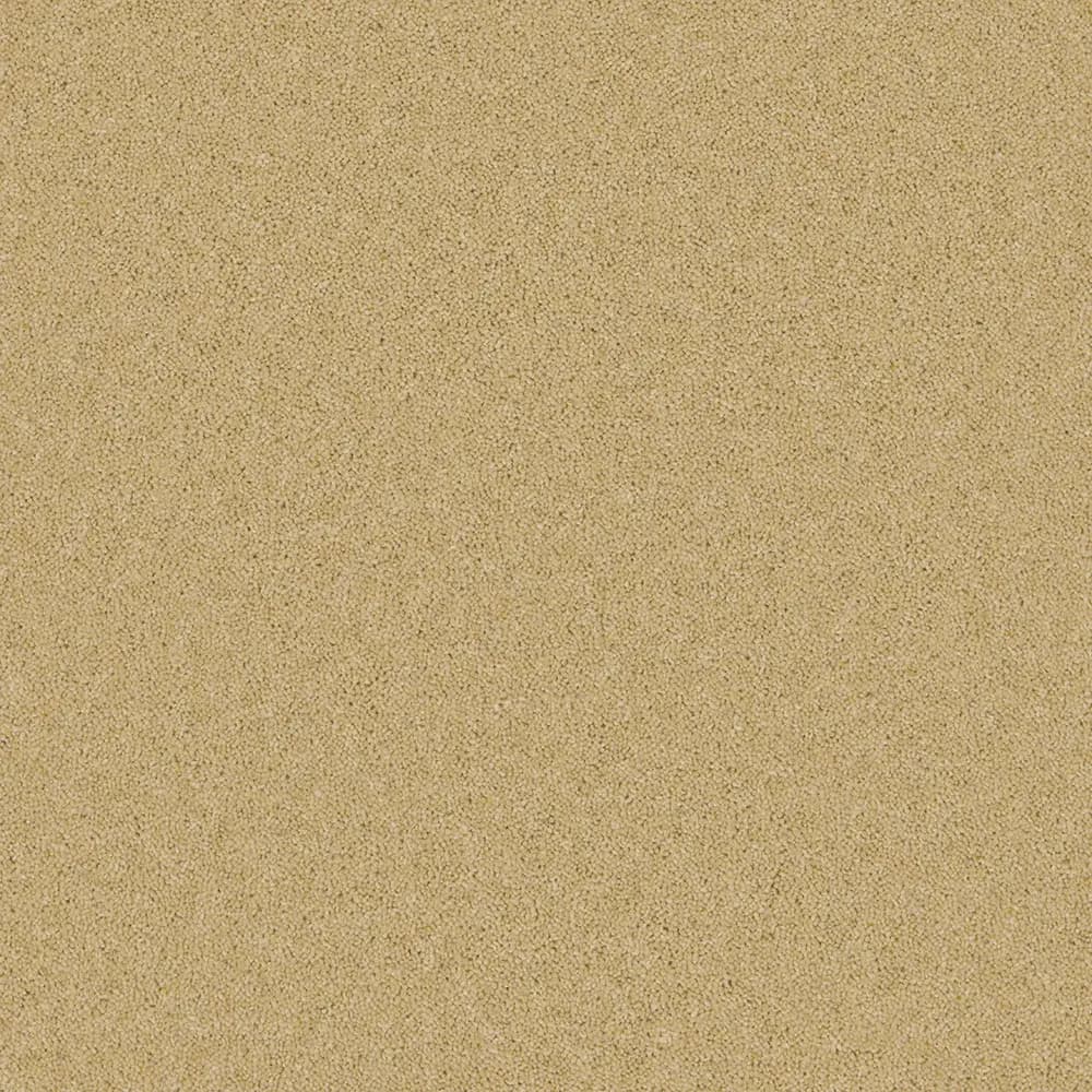 Timeless_Classic-Clay