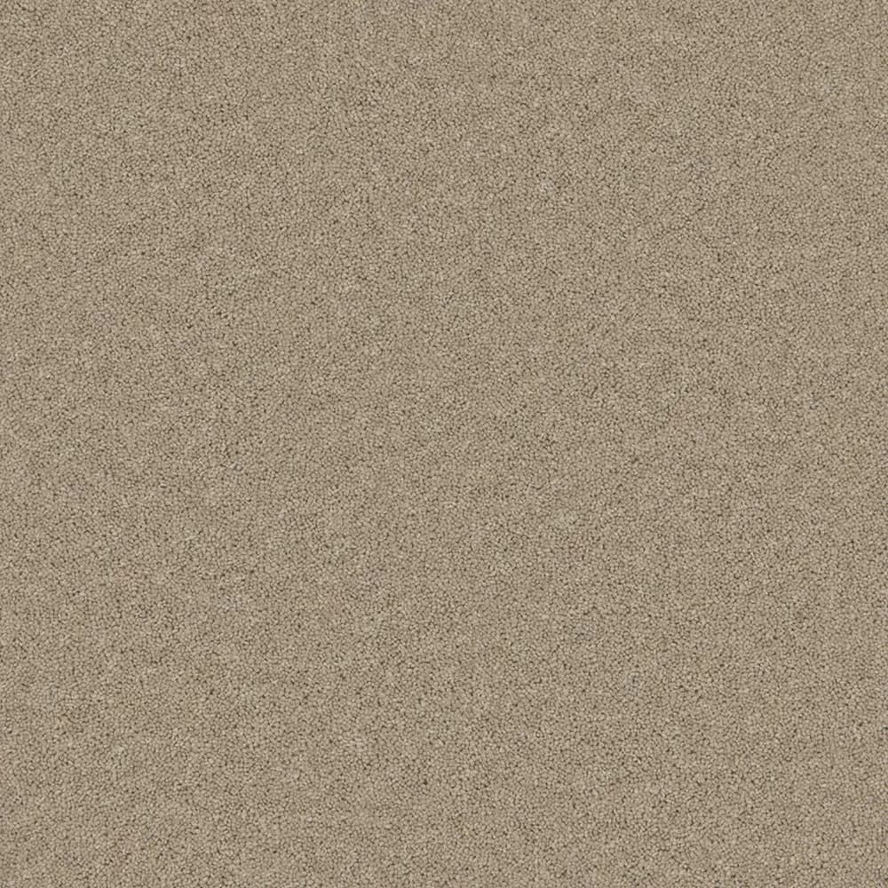 Timeless_Tranquil-Truffle