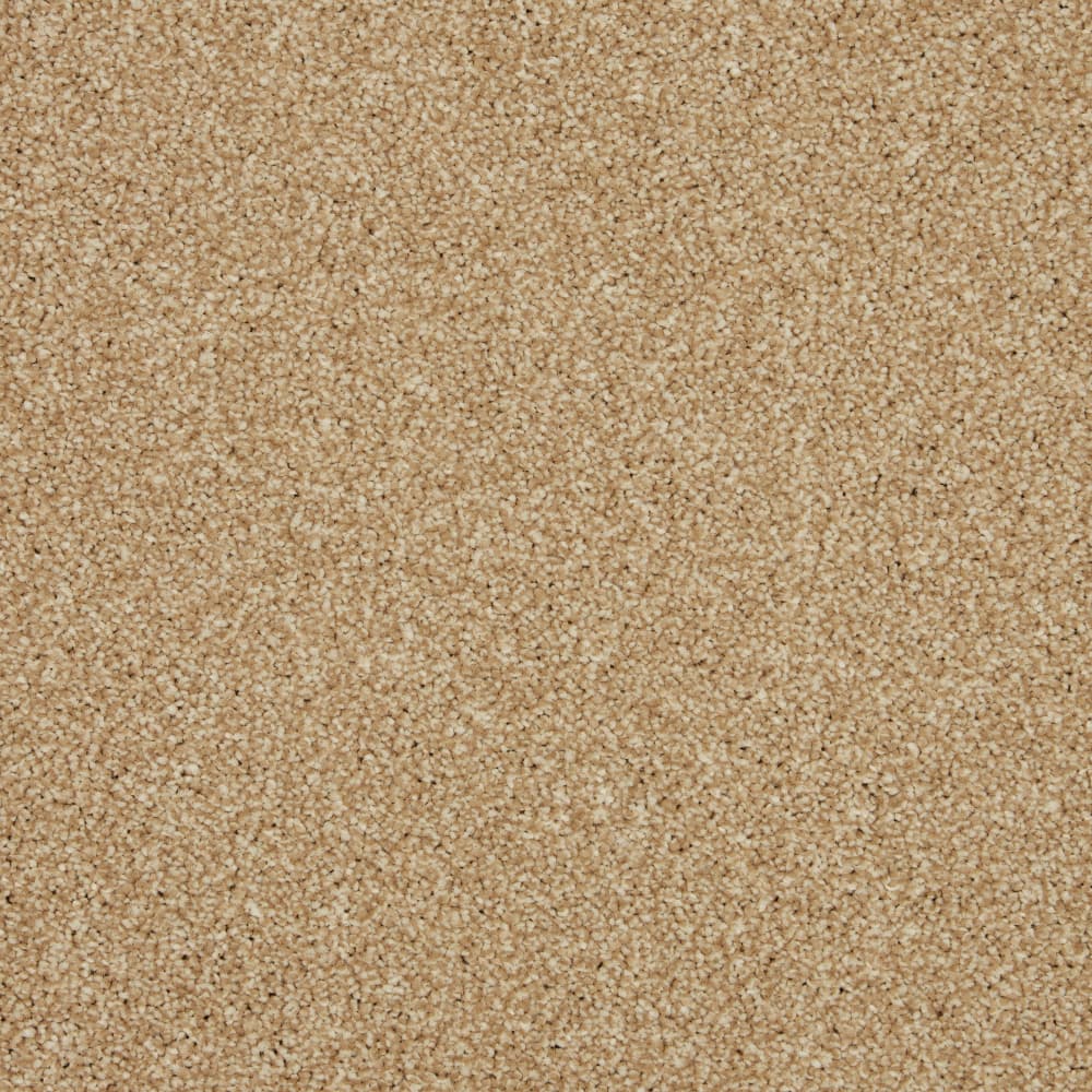 Fordham Flax