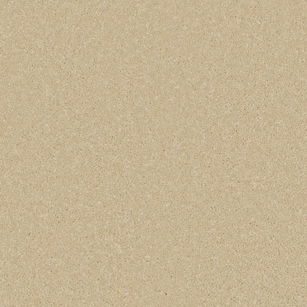 Palomino Gold