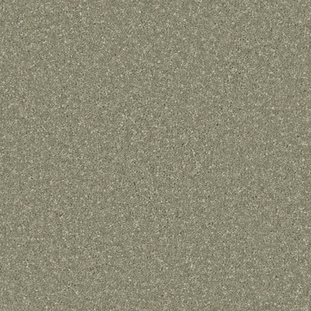 Tuscan Olive