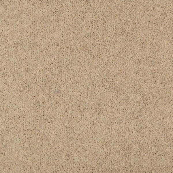 Penthouse-Carpets-Seasons-Advent-40oz-1-300x300