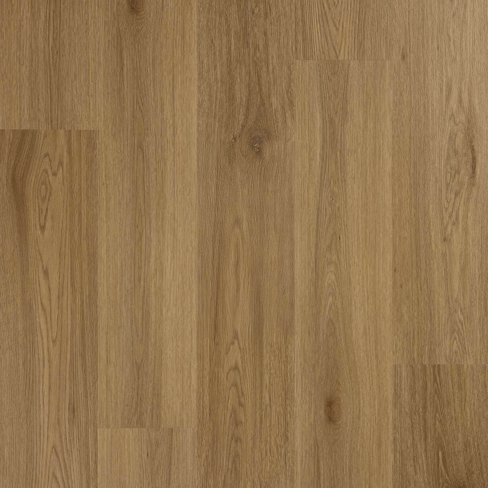 Chestnut